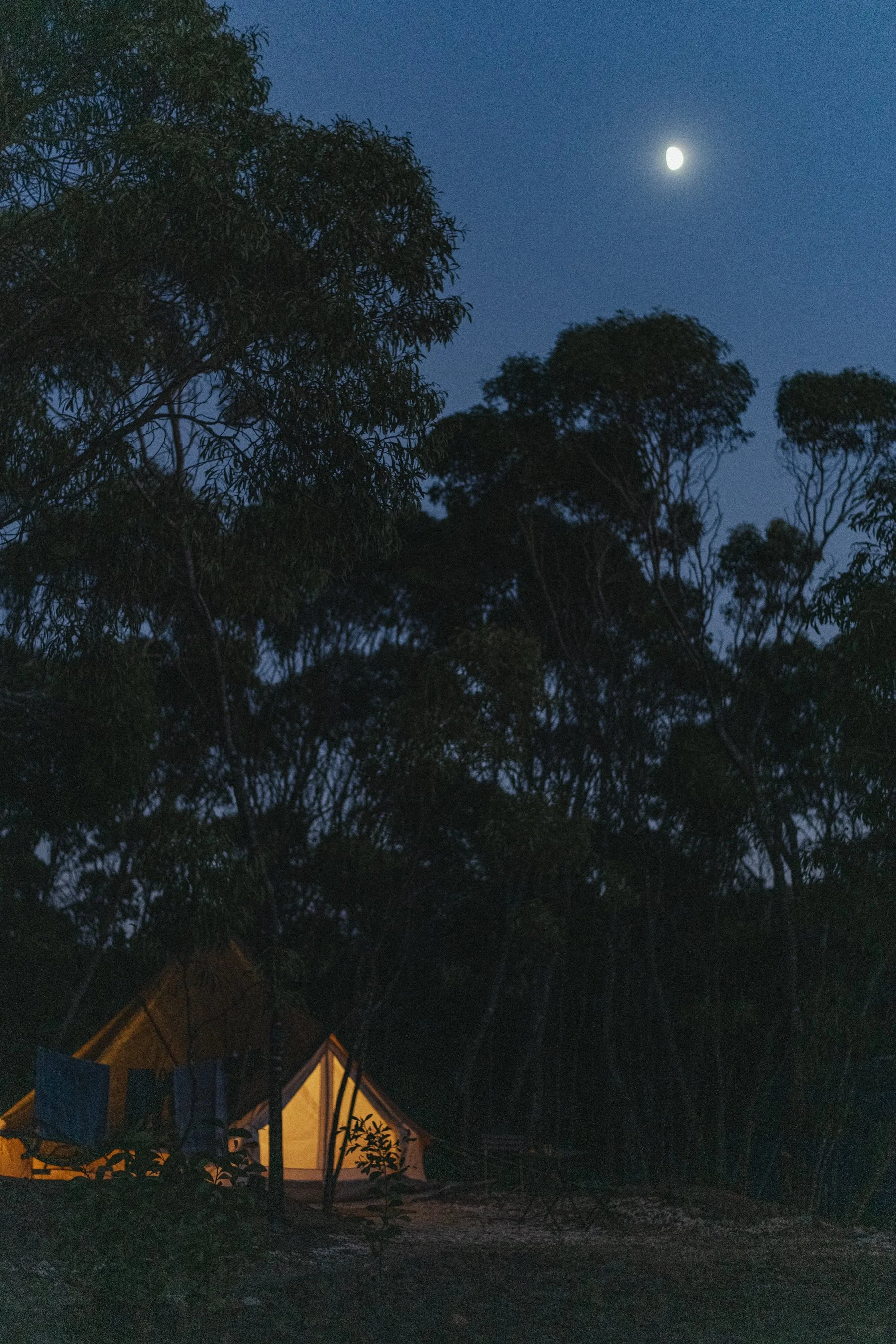 Soulfarm Sept 2025 - Fotograaf Birgit Sterckx-0877.jpg