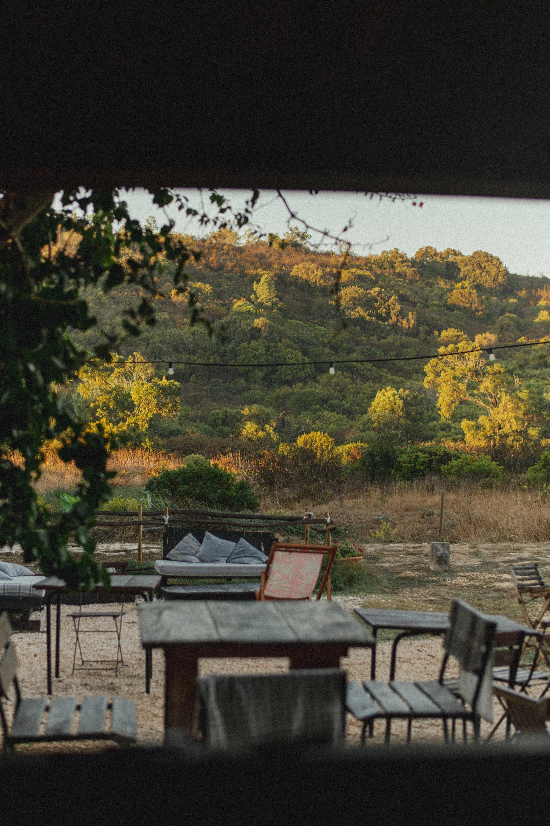 Soulfarm Sept 2025 - Fotograaf Birgit Sterckx-0388.jpg