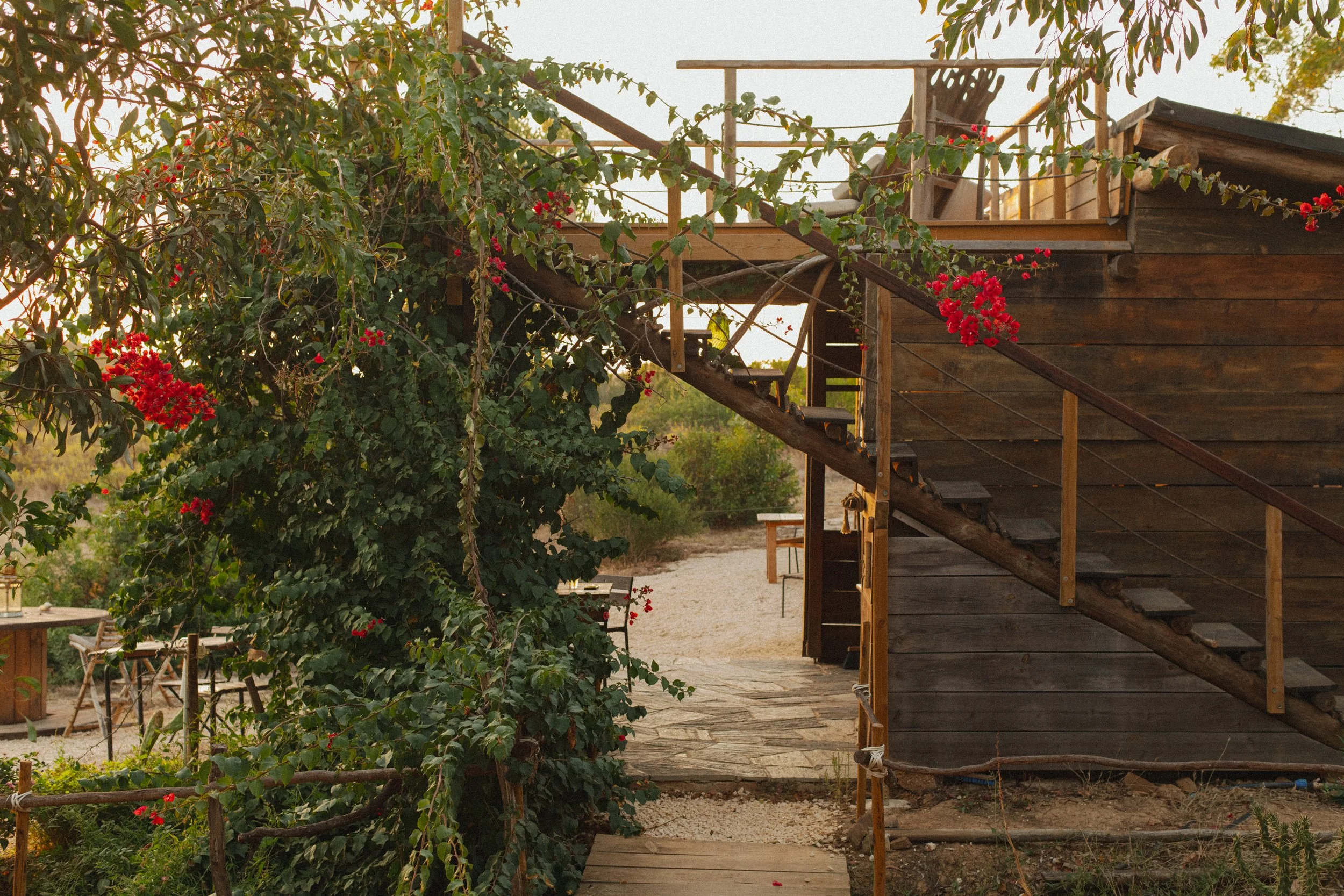 Soulfarm Sept 2025 - Fotograaf Birgit Sterckx-0285.jpg