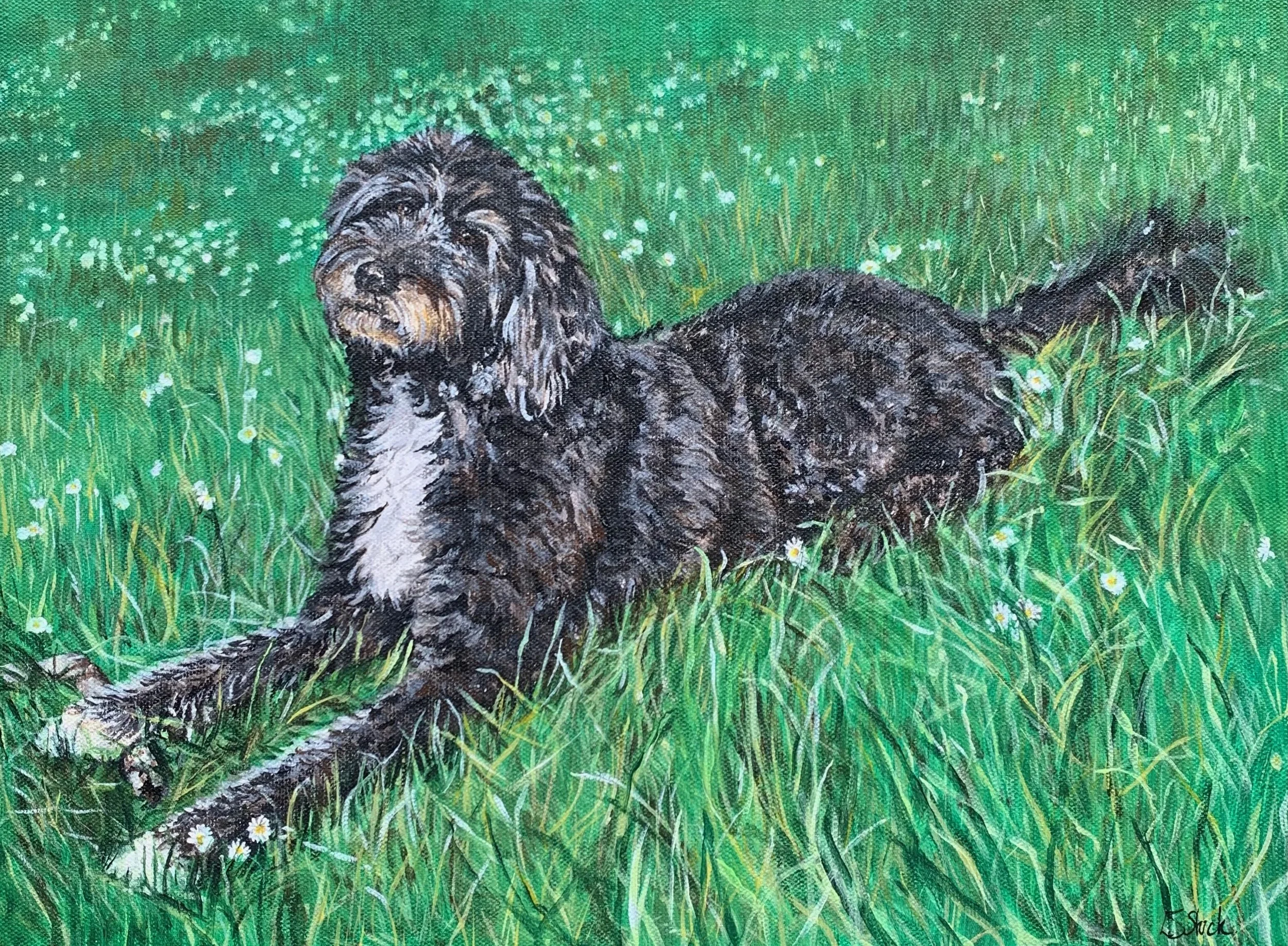Lucy the Bordoodle playing 
Acrylic on canvas board 12 x 16
