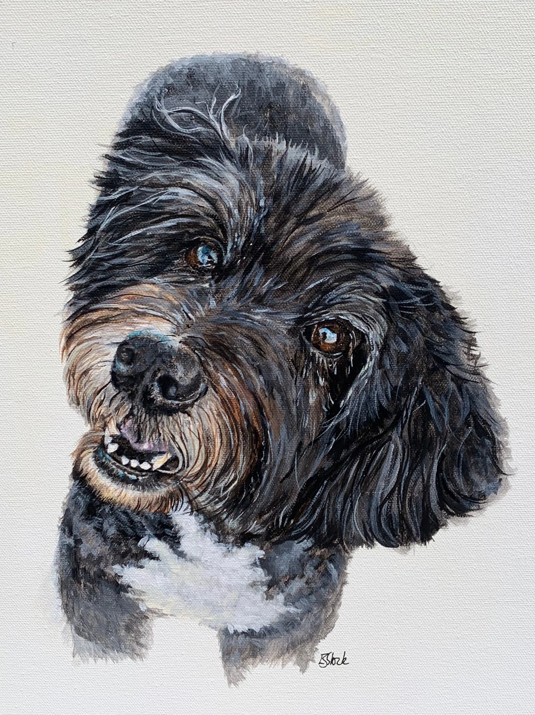 Lucy the Bordoodle Smiling
Acrylic on Canvas Board 12 x16