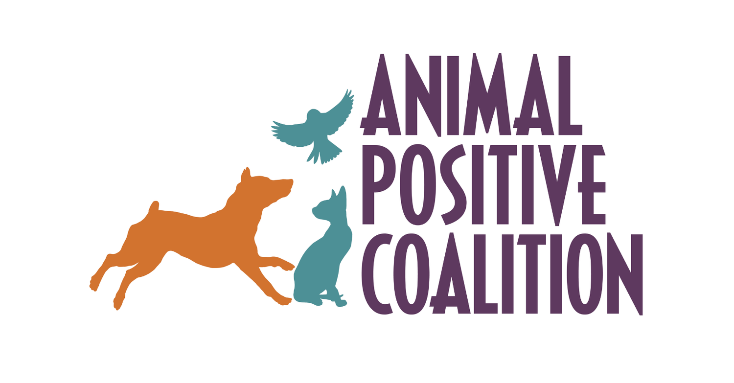 Animal Positive Coalition
