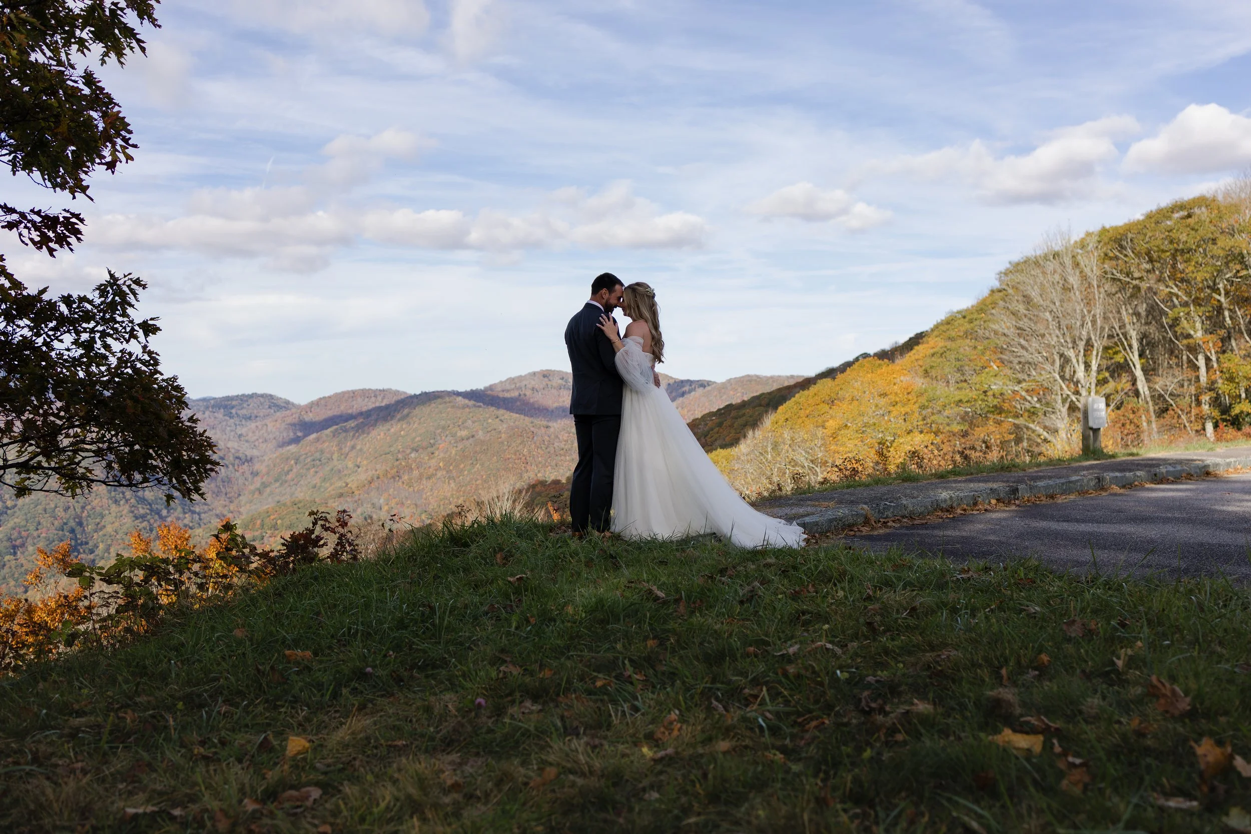 Great Smoky Mountains Micro Wedding at an Airbnb