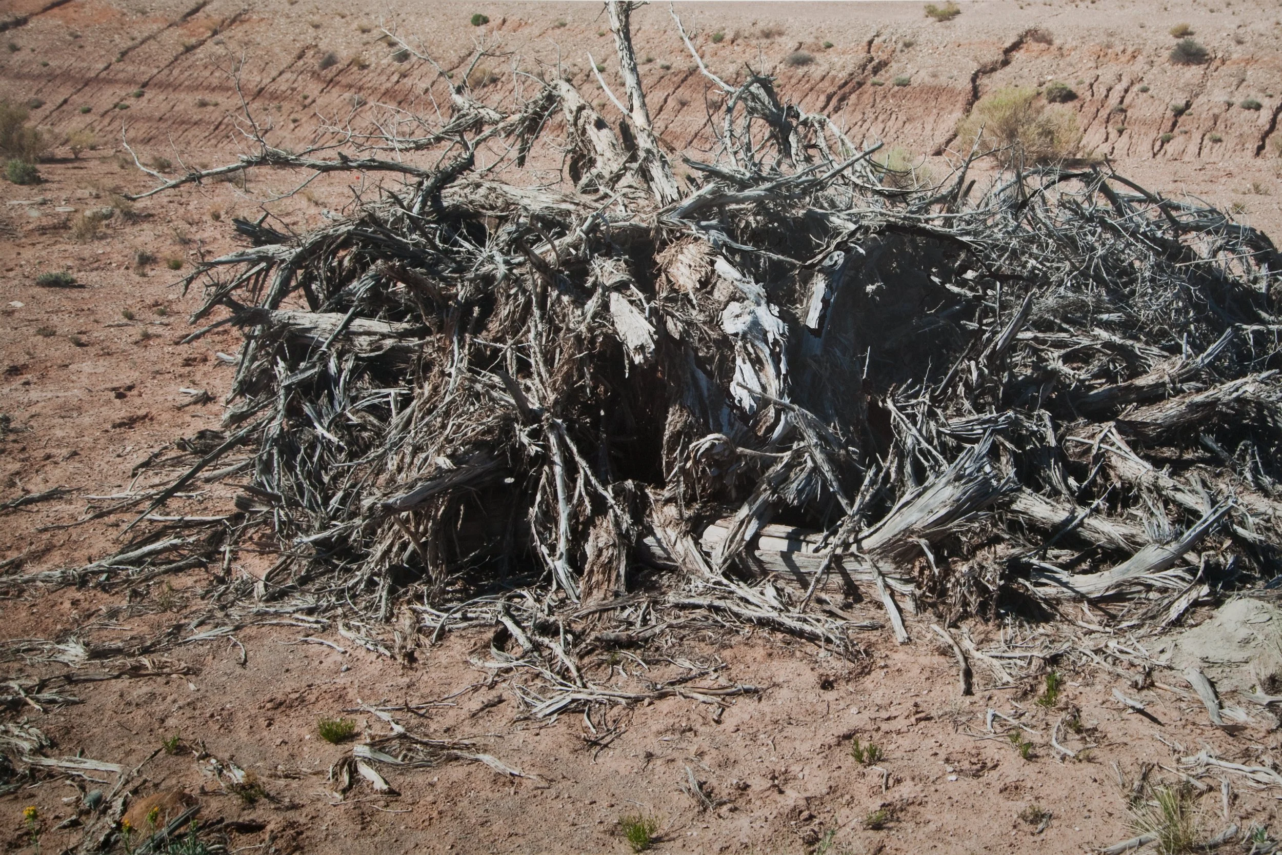 Mass II, photograph and gouache paint, 21 x 30”
