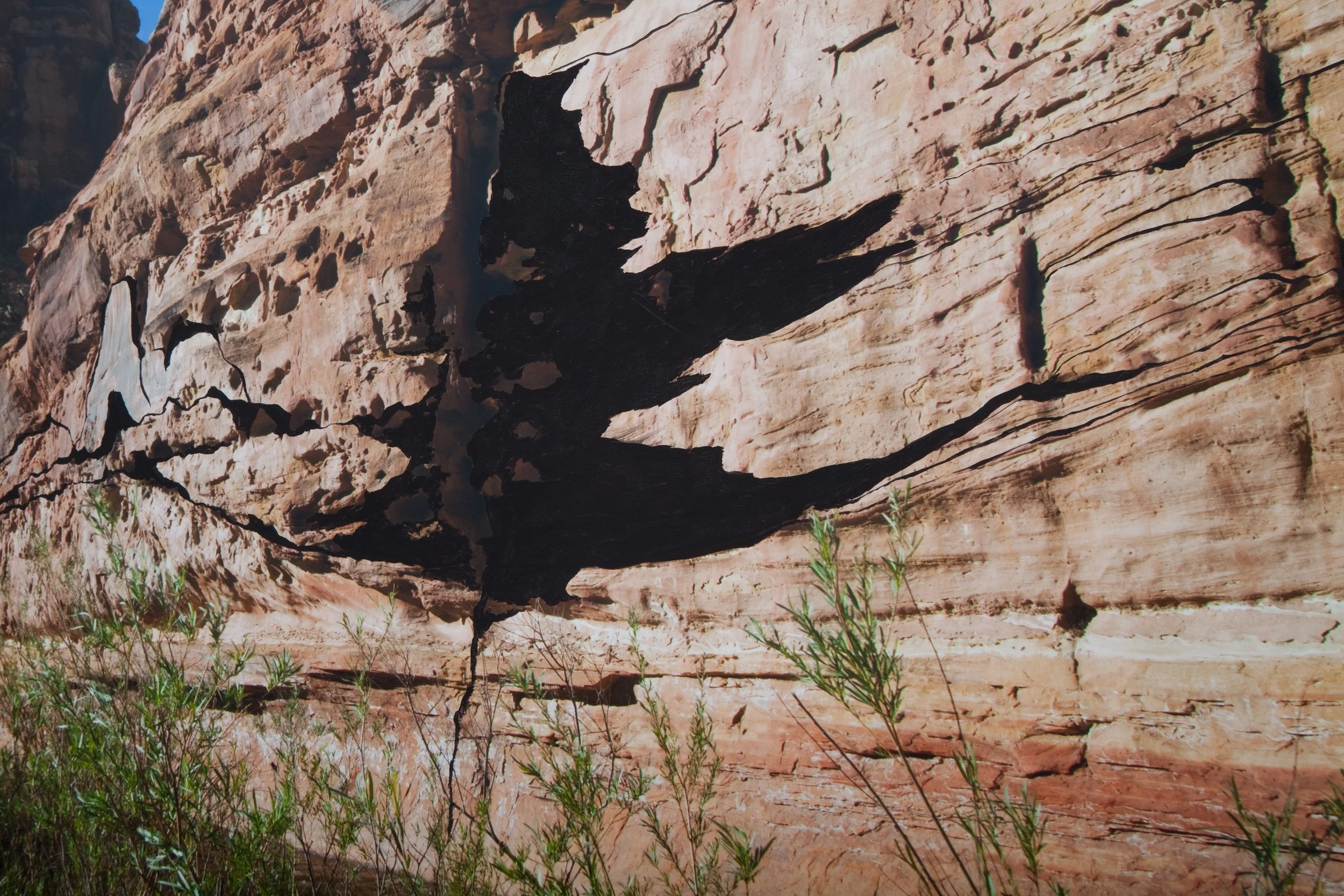 Wall shadow, (detail) 