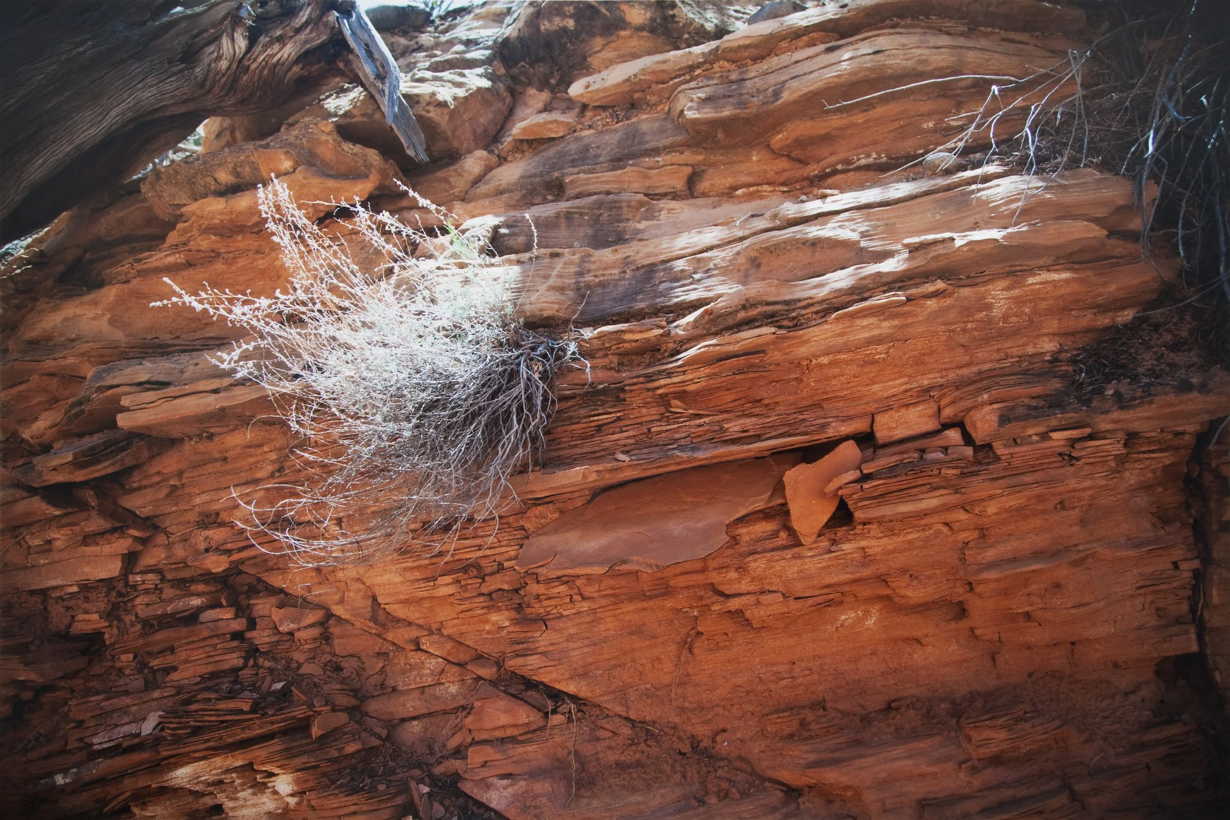 Shards, photograph and gouache paint, 21 x 30”