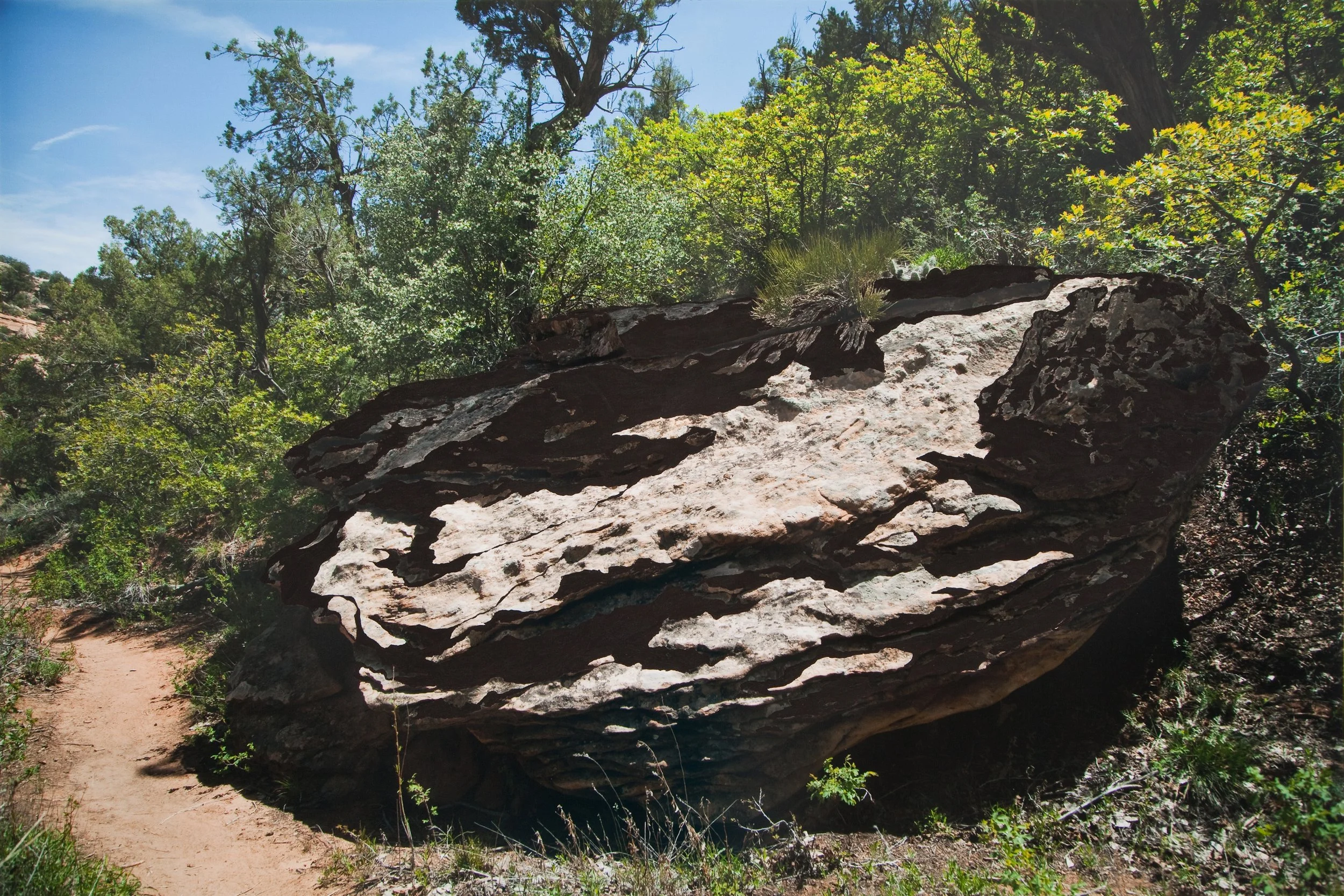 Dirt path, photograph and gouache paint, 21 x 30”