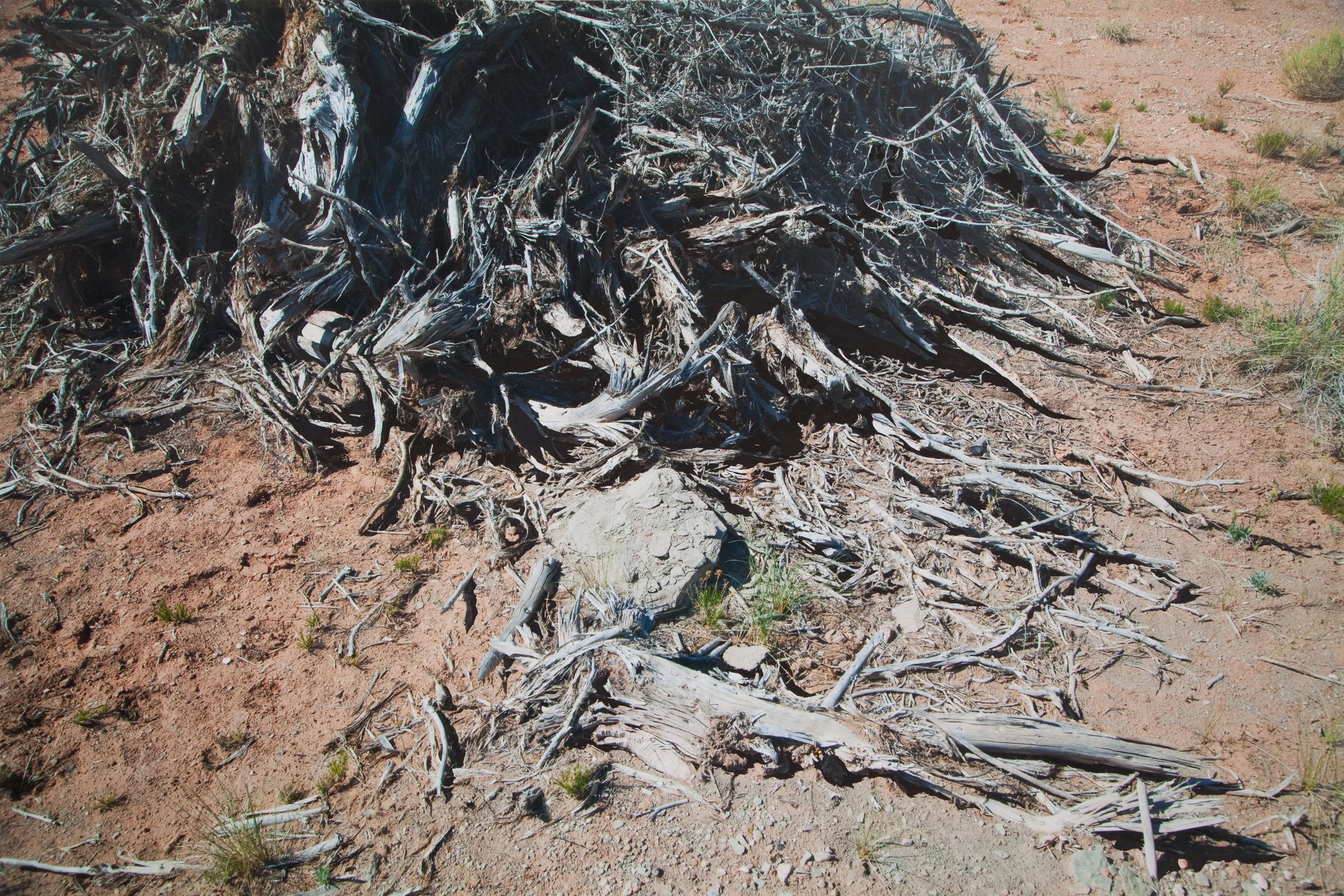 Mass I, photograph and gouache paint, 21x 30”