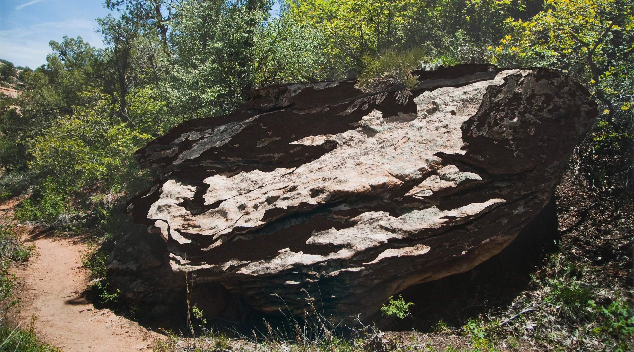 Shadowland (2014-2015)