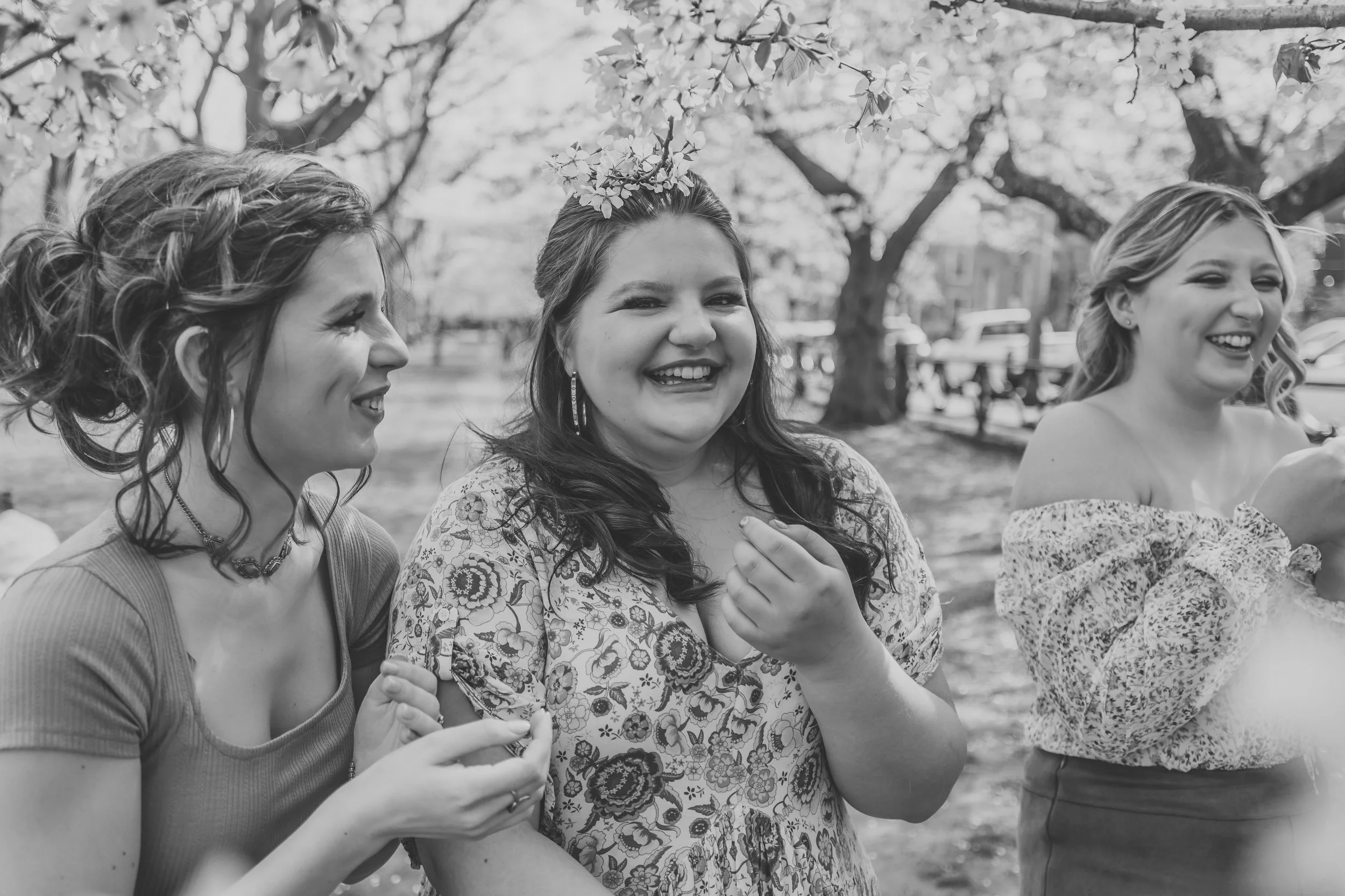 Picture Option 13.jpg