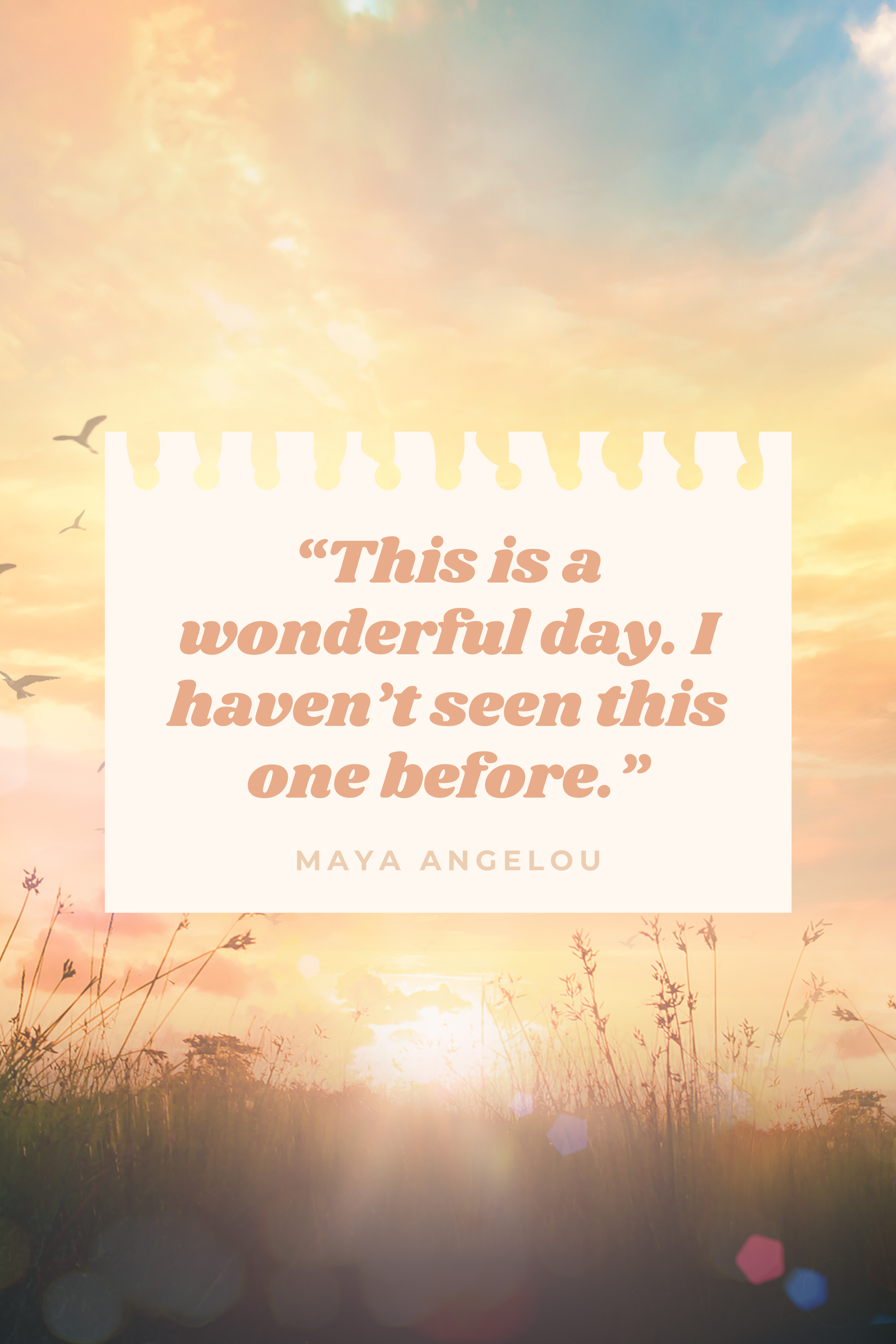 Practice daily gratitude to notice all the beauty in your life.