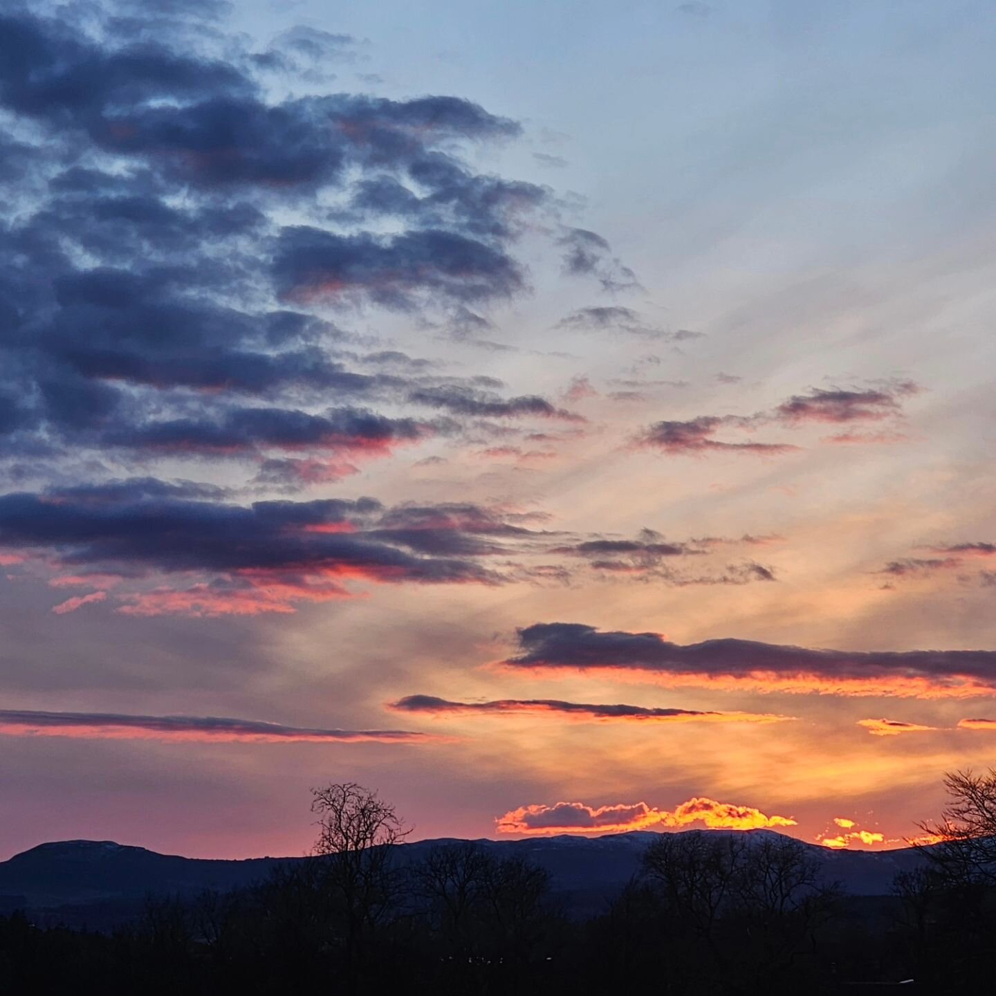 Worth working late for 🦌💖

#cassafuir #hereandnowpods #trossachs #sunset #scotland #workinglate #february