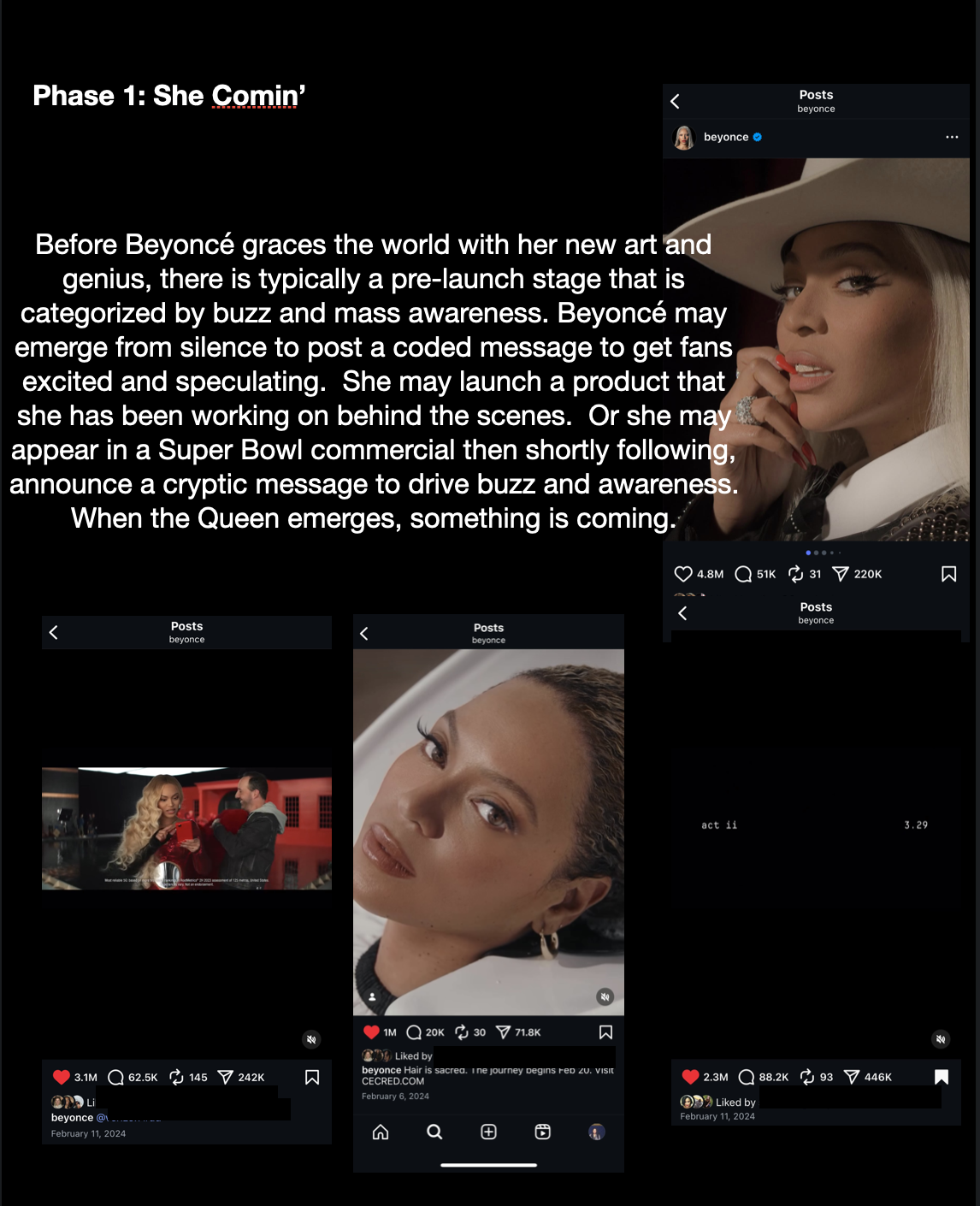 Beyoncé- The Queen of Marketing_Slide 4.png