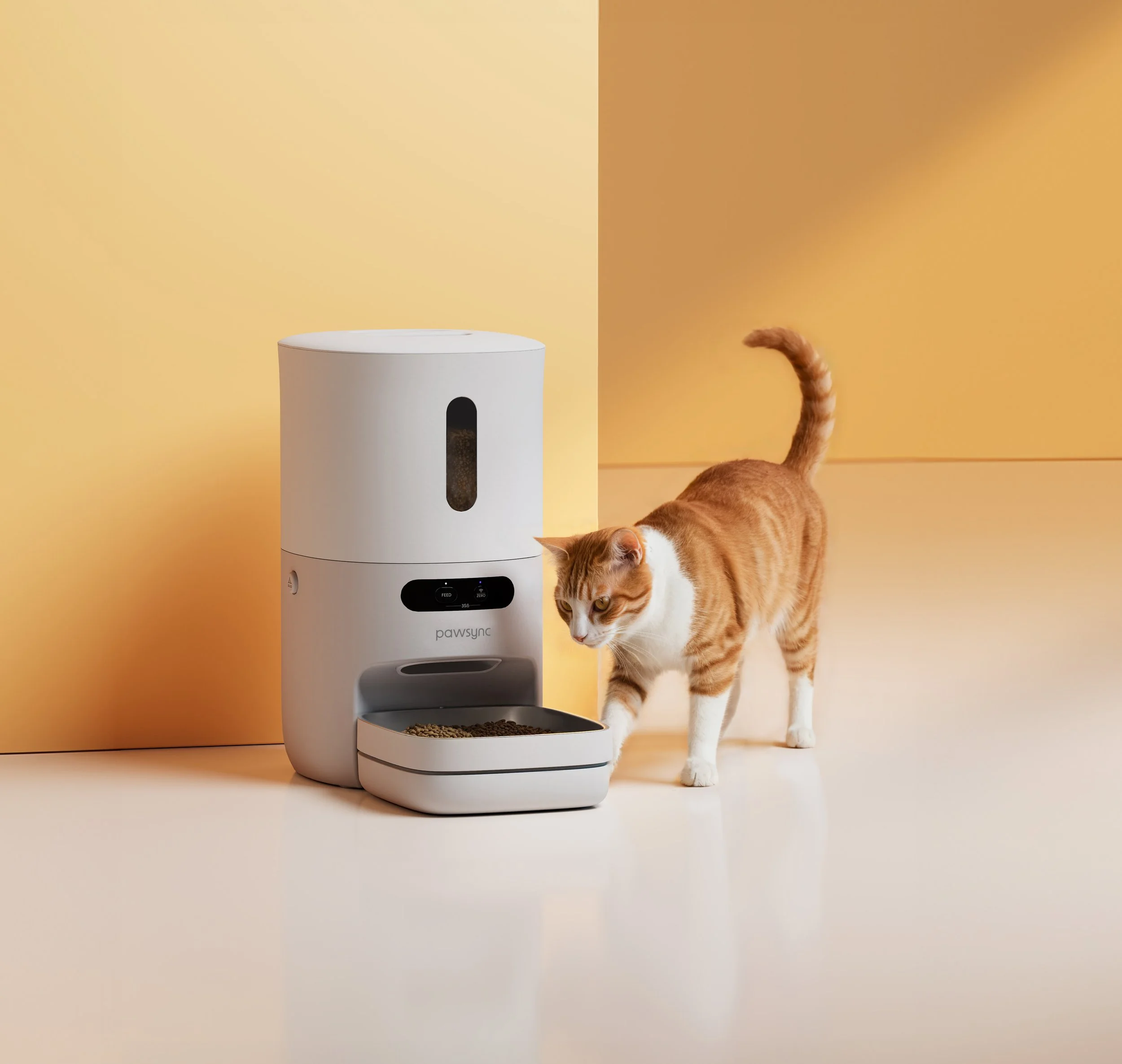 Pet Feeder_studio.jpg