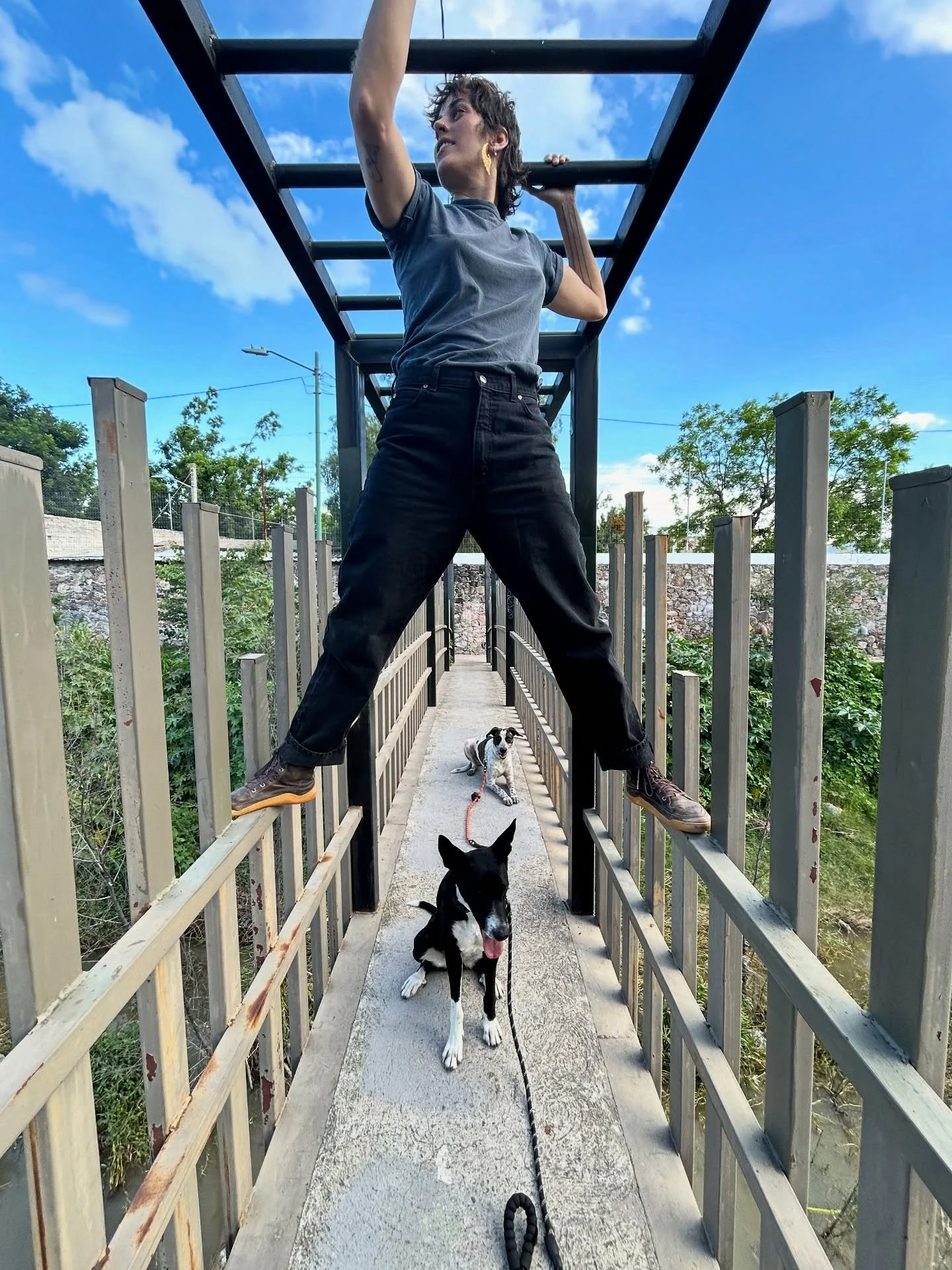 Practicing sit-stay out in the wild 🐒 
The real work is in the everyday life

Thankful for these two 
 
Follow our journey 🦮

#dogtraining #dogfriends #dogtrainingjourney #doglife
