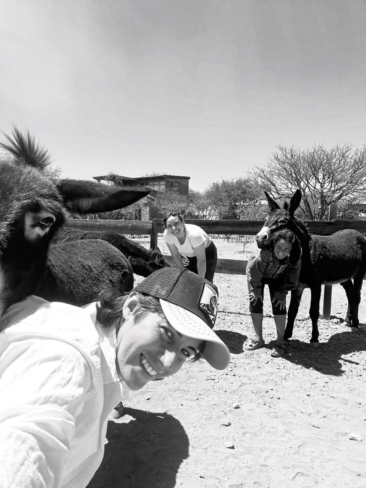 Animals are such an offering of SUPPORT

Observing animals and having bodily contact with them are gifts that can soothe our nervous system

Grateful for all the animals and especially the ones I get to connect with 

Do you have any support animals/