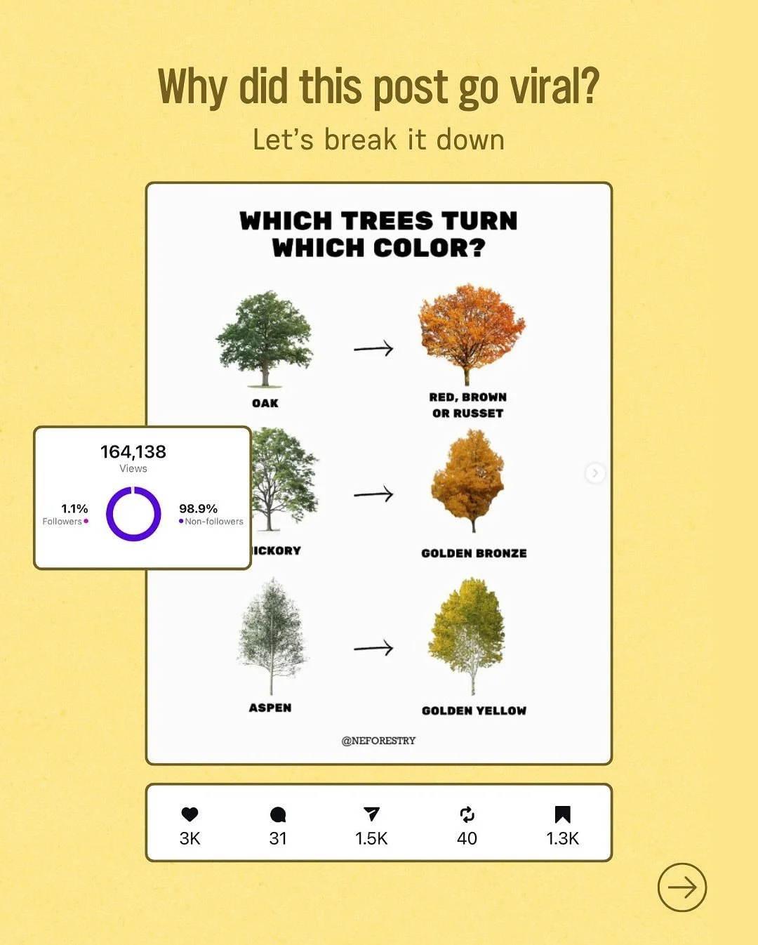 Why did this post get 164k organic social views?! Let&rsquo;s break it down 🌳🤳 Swipe to see the 8 things that helped this post go viral!
