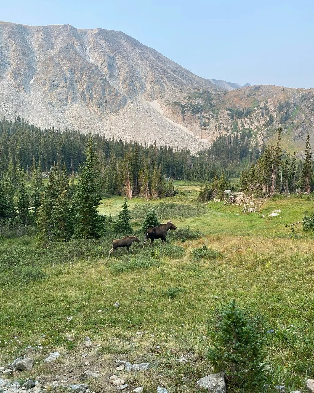 Taking this moment to remind ourselves of why we do the work we do:

To be out there
And protect out there.

Does anything else really even matter? 💭