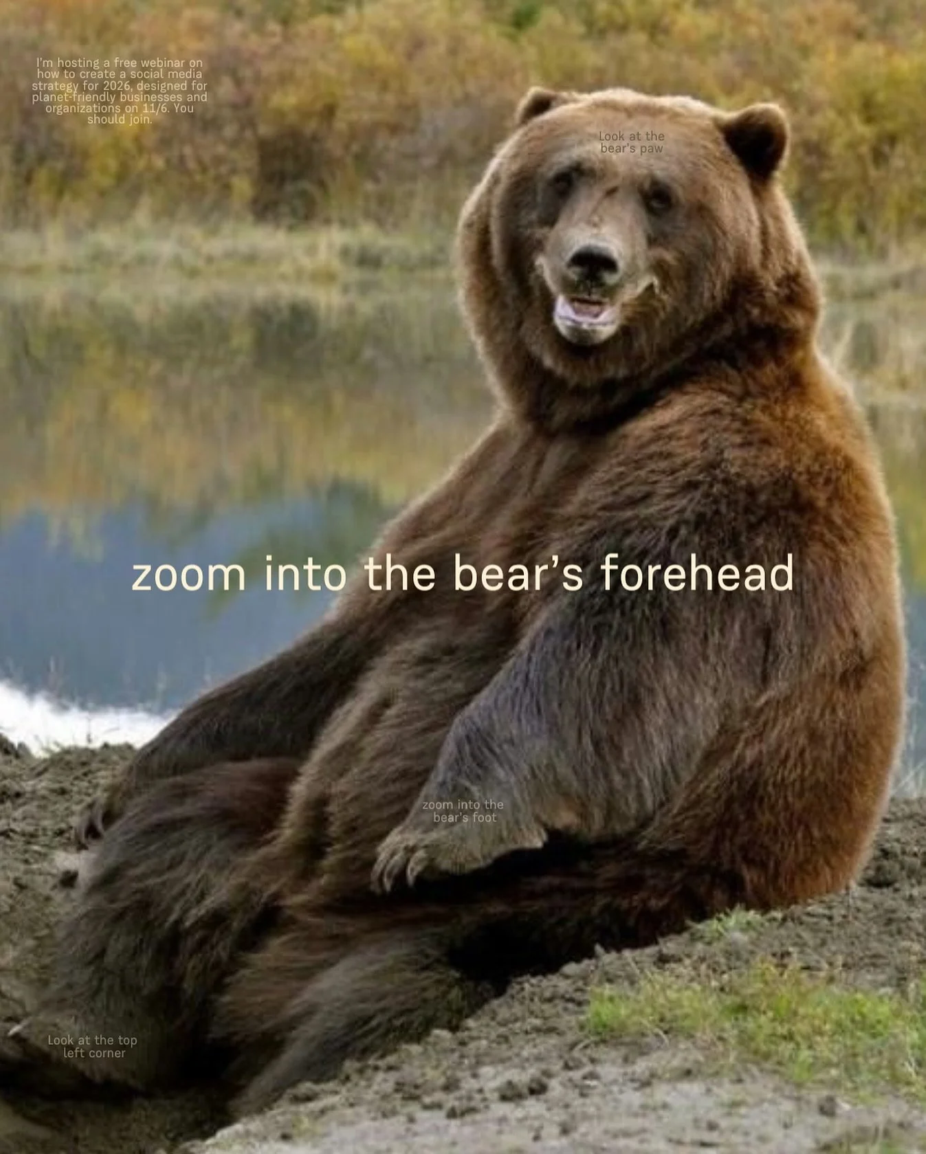 🫨👀😏

We&rsquo;re only 3 days out from our free webinar on ✨how to create a social media strategy for 2026✨

77 people will be attending and you should, too! 🌎 

So excited to take this first step to fulfill our mission of creating free and afford