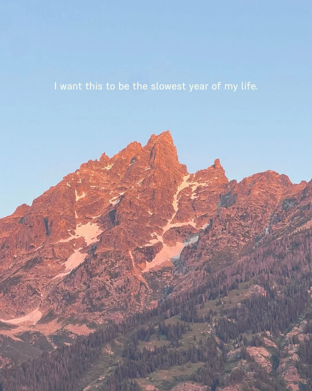 What are we rushing for? If nature has taught us anything, it&rsquo;s to move through life slowly 🦋 

Just food for thought 💭

- Noelle