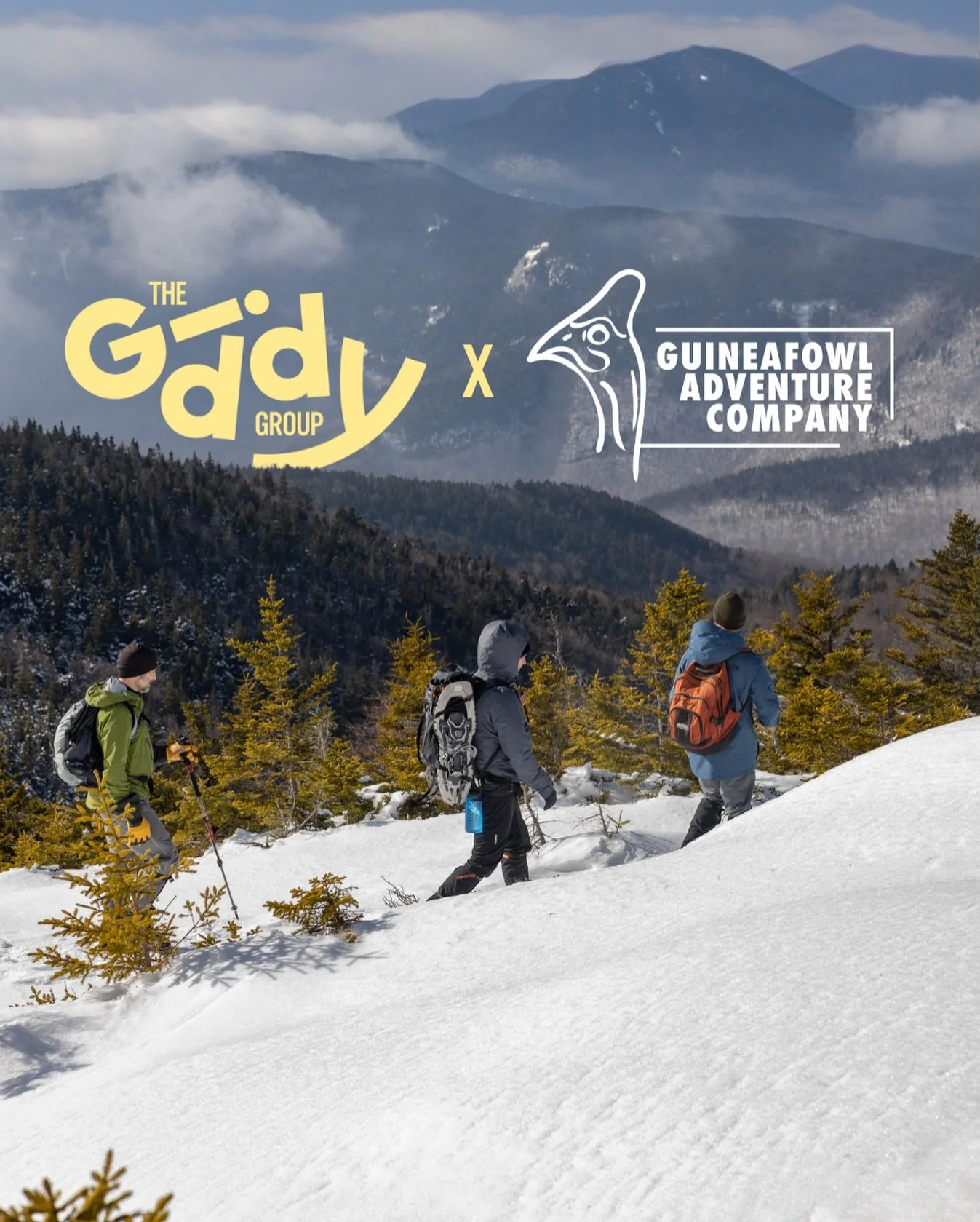 I MANIFESTED THIS ONE 😭 Quick story time.

Back in October, I opened a book on my desk and a business card fell out of it. I will never forget the very weird gut feeling I felt when that card fell into my lap.

It read: &ldquo;Dave Fatula Founder of