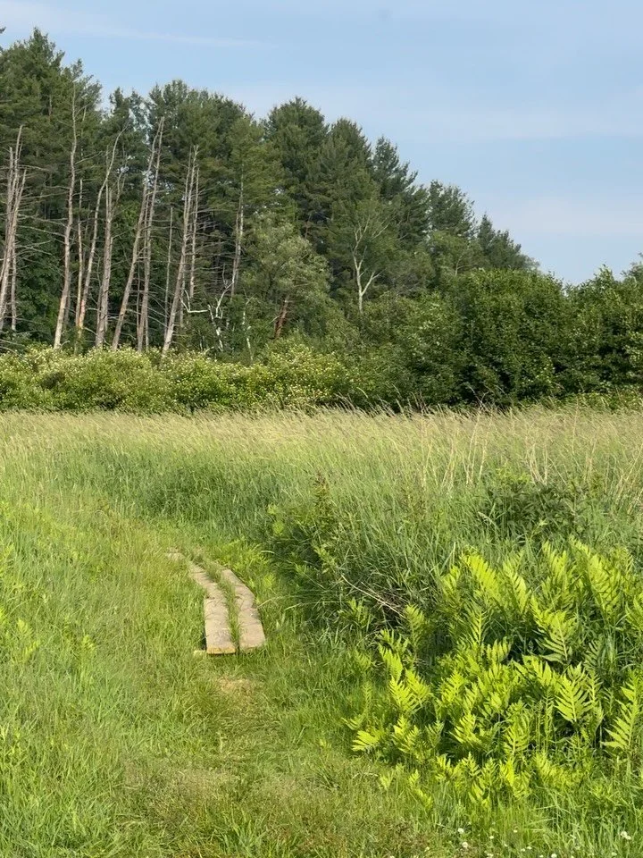 places worth protecting 💭🏜️🌾😌