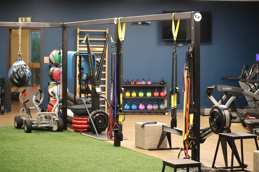 Turf area and training rig at Elevate Fitness