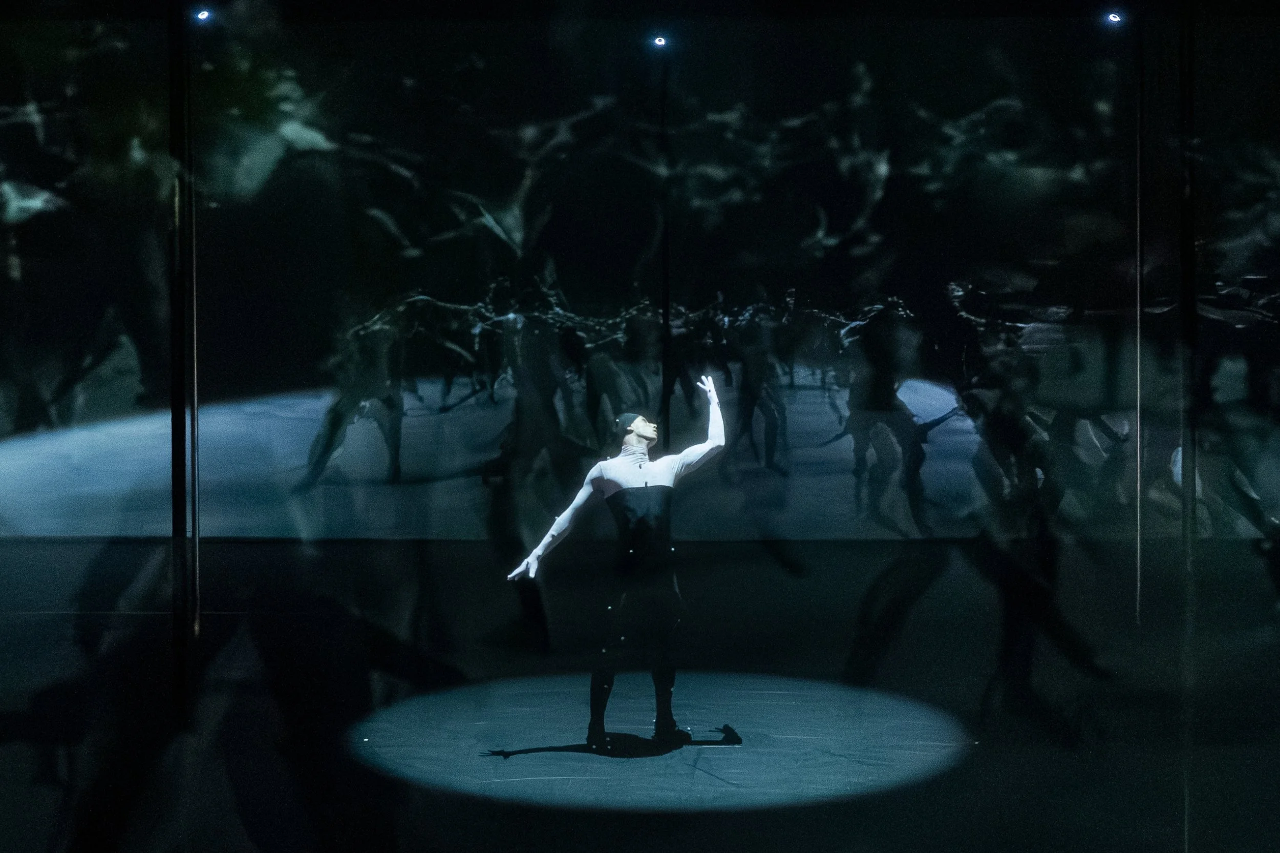 12 AWDC_Mirror © Sandra Ciampone.jpg