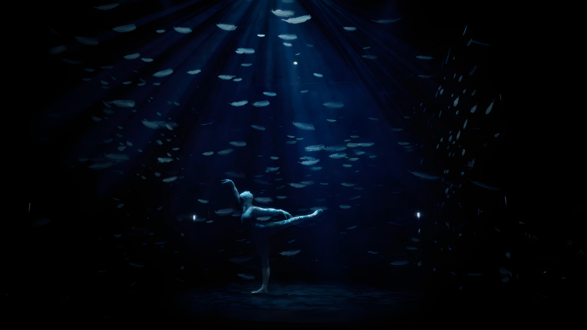 Last Swan4.png