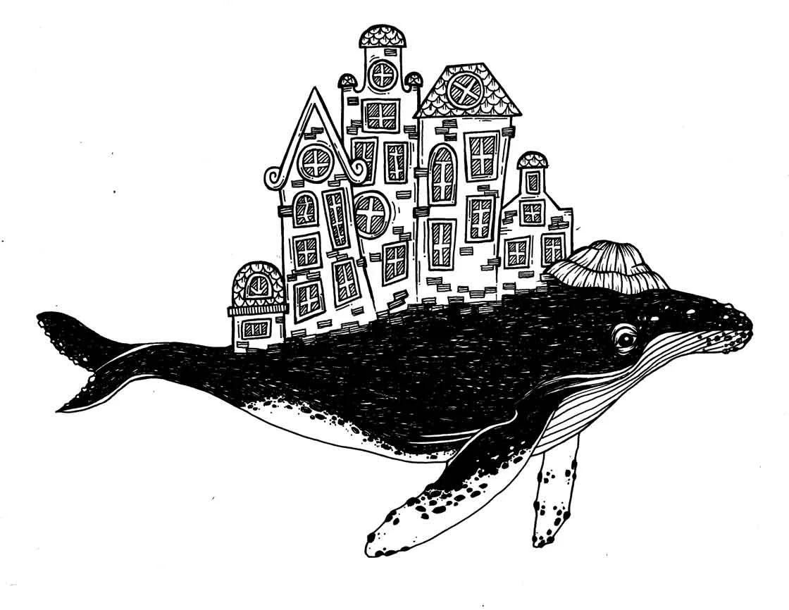 Whale-Home.jpg