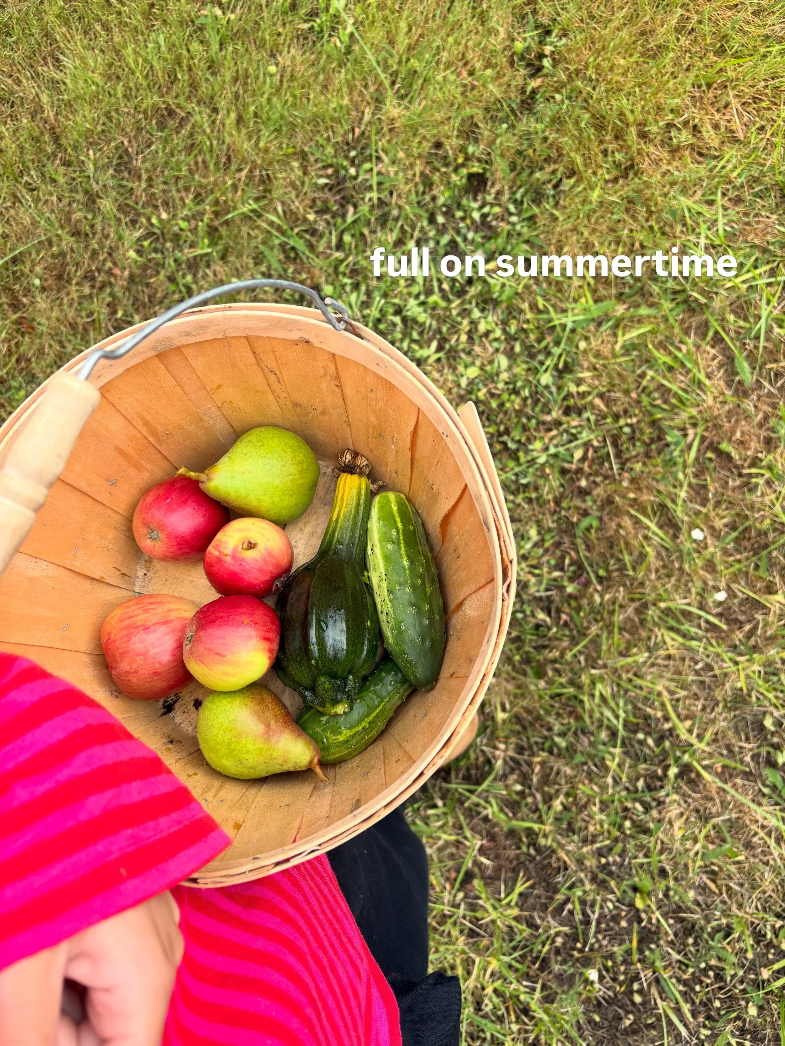 Ate our way through Summer 🌽🦀🍅