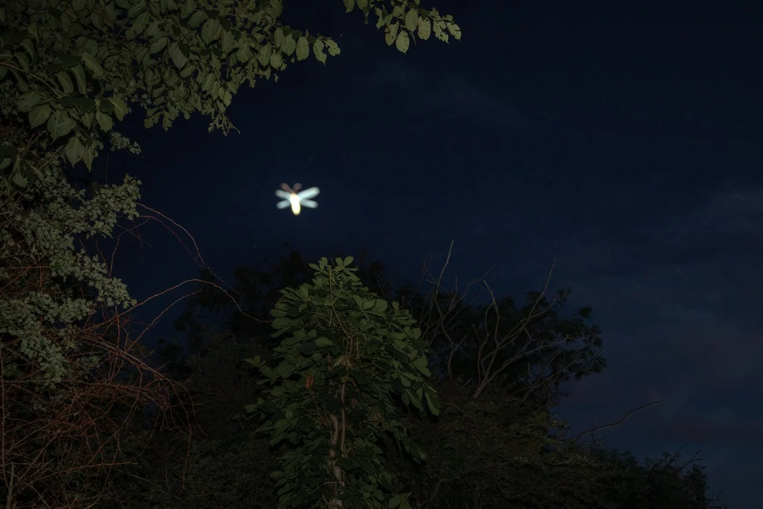 _D4A7375.jpg