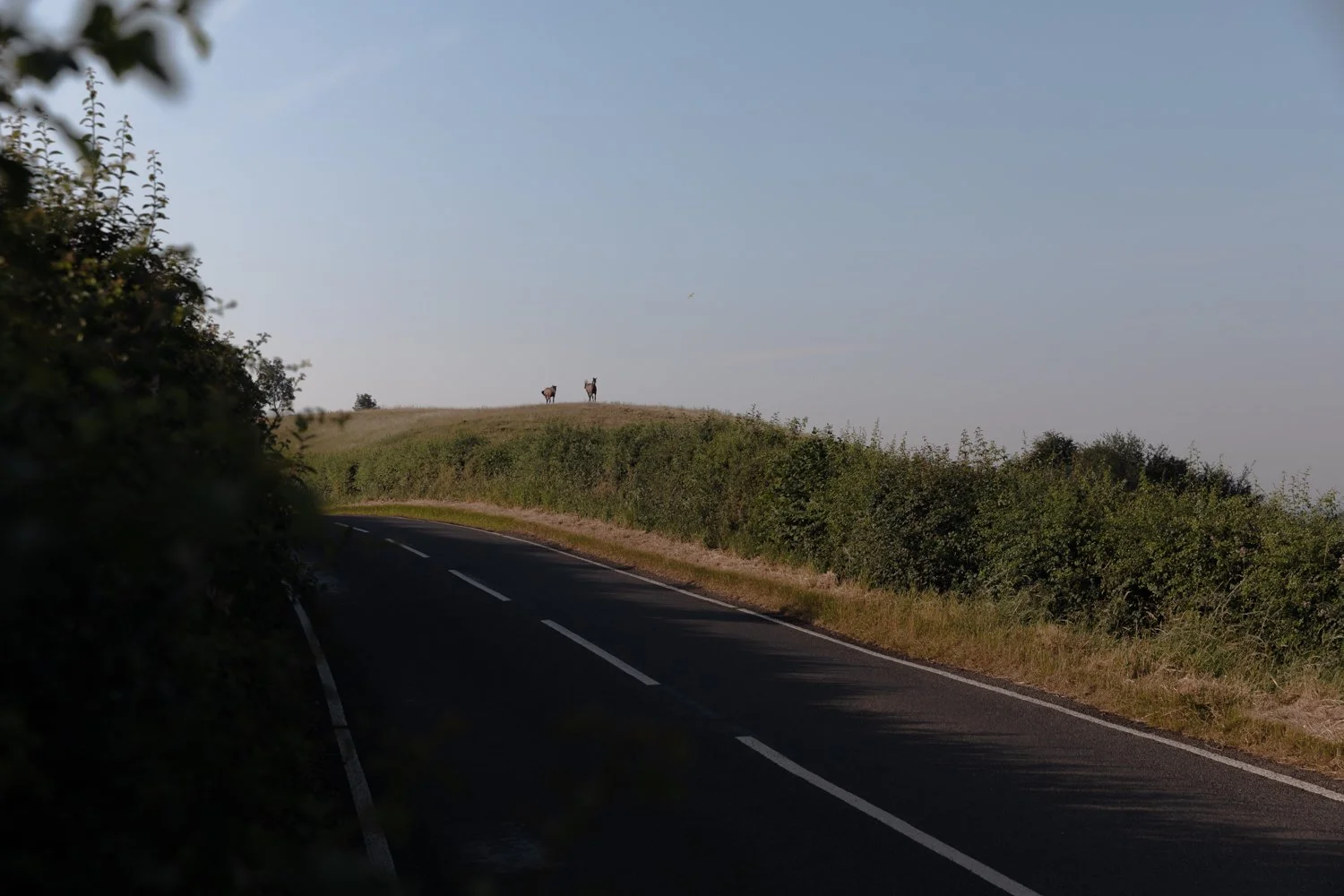 Sam’s big walk home