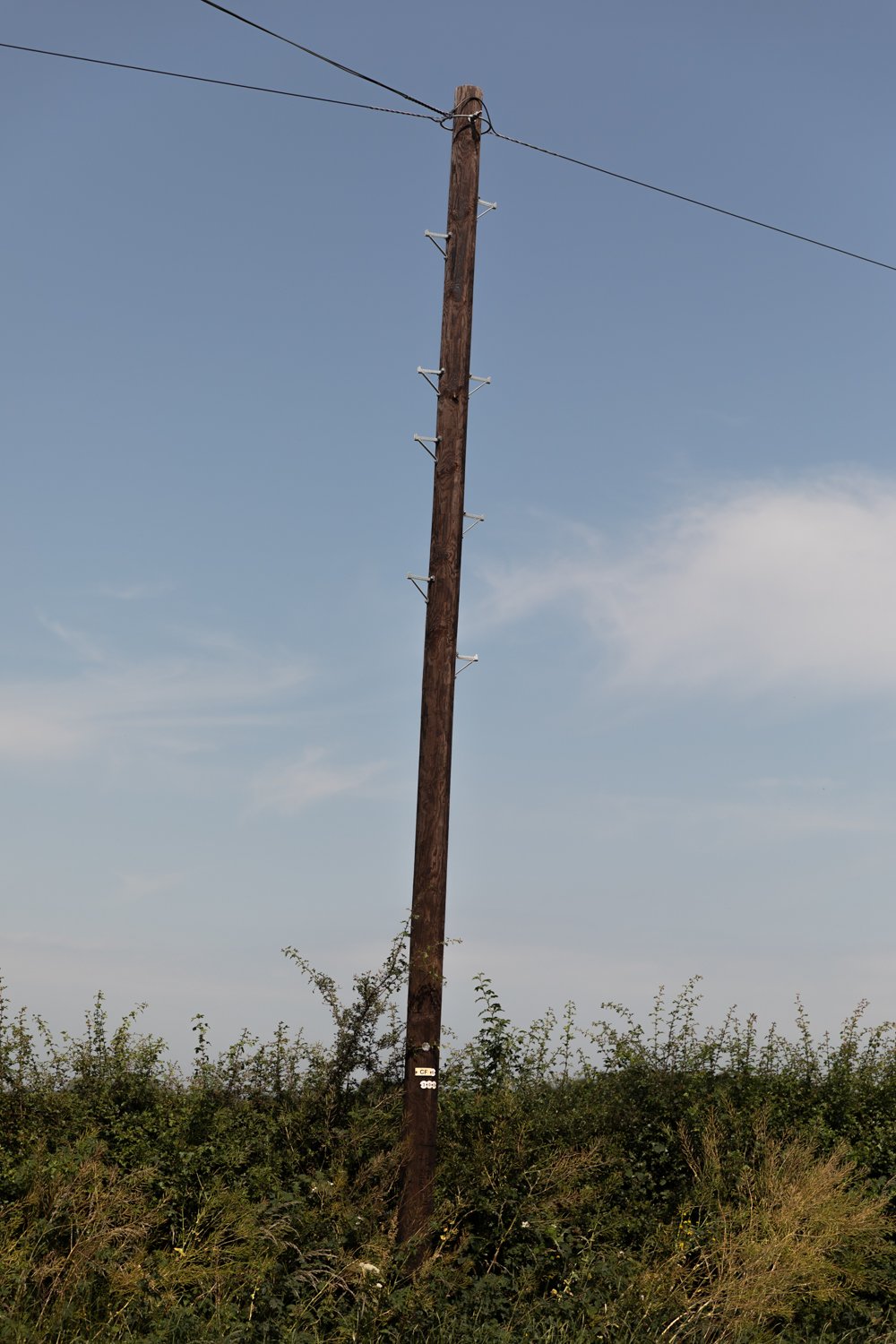 _D4A2306.jpg