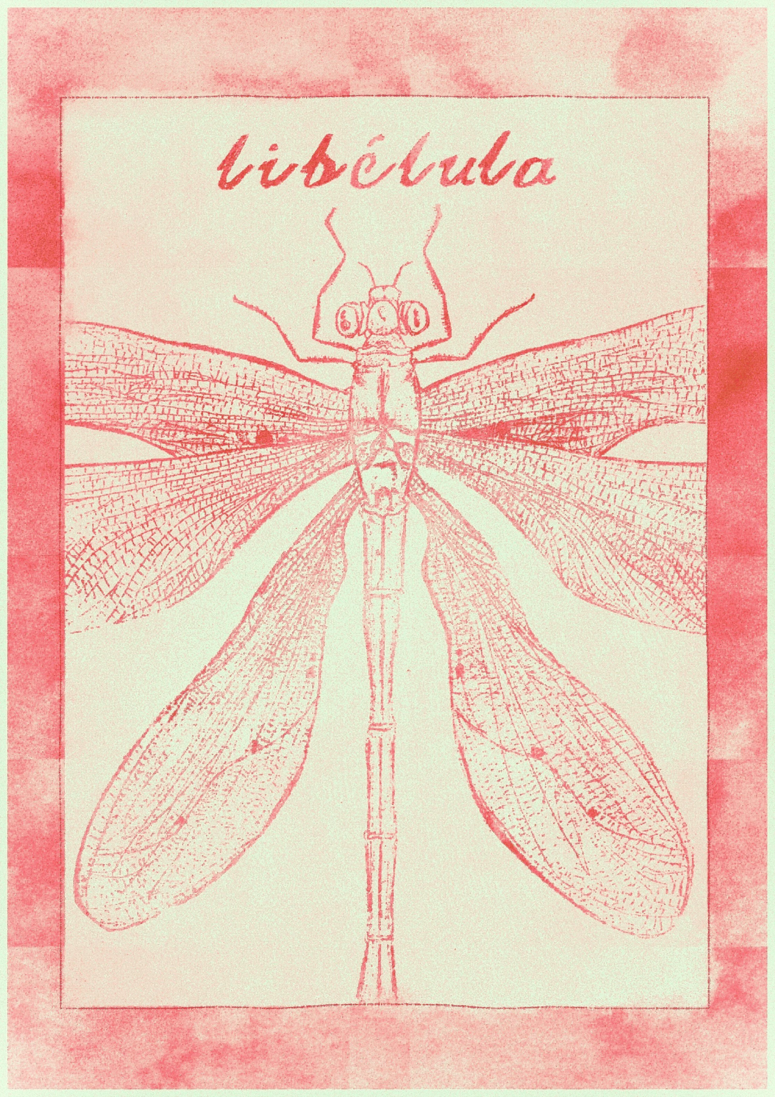 dragonfly10.jpg