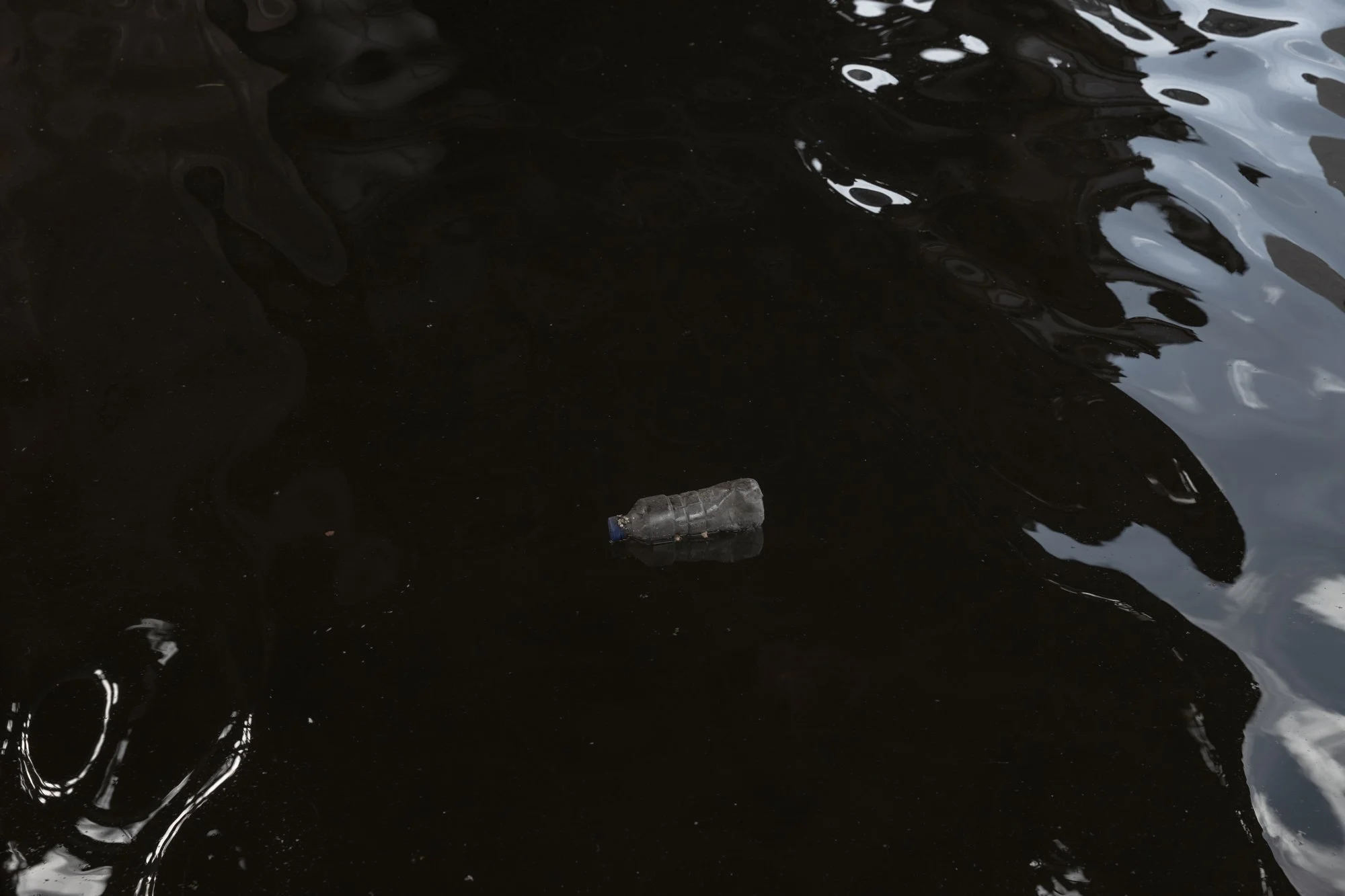 _D4A0501.jpg