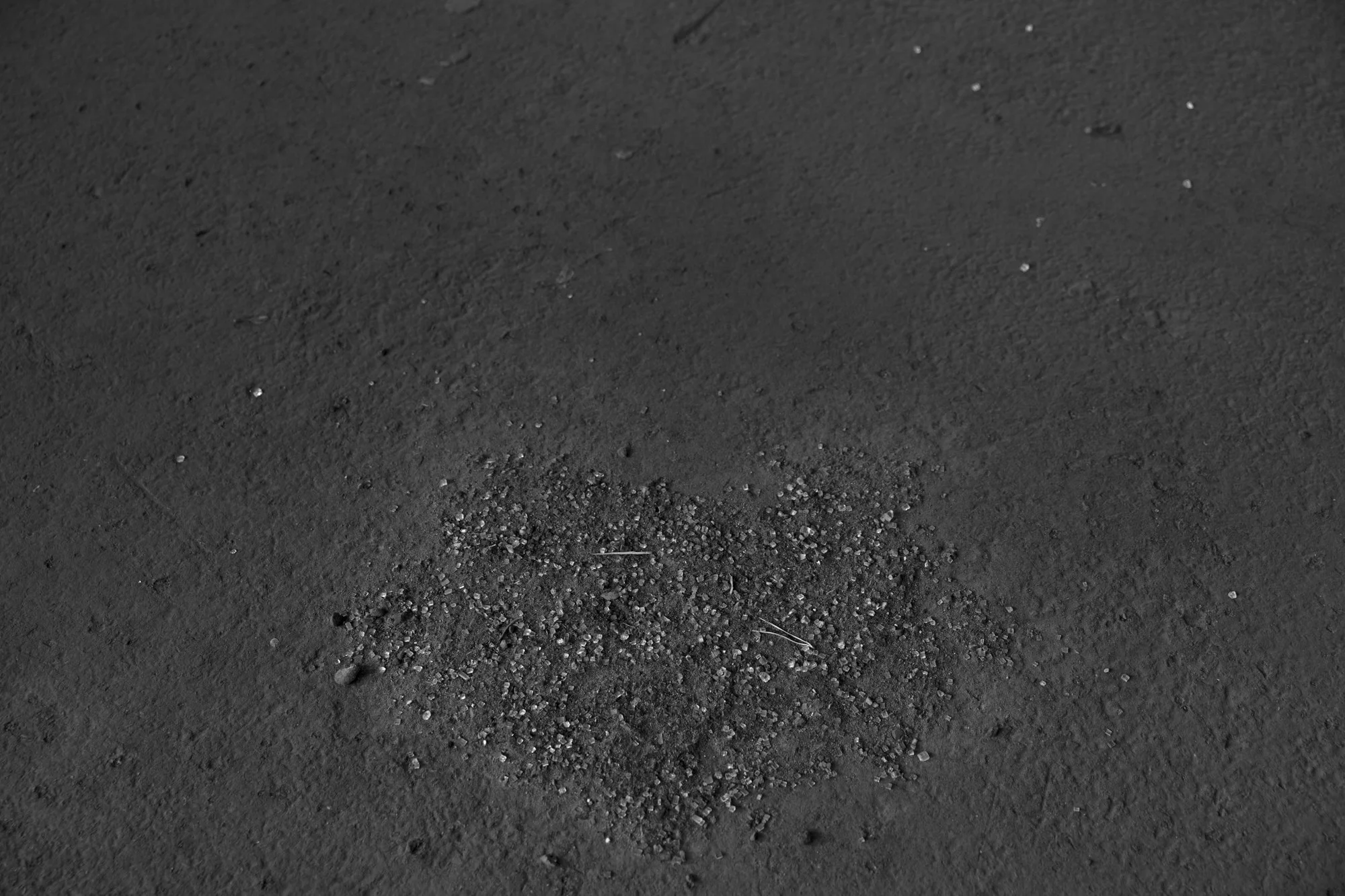 _D4A1788.jpg