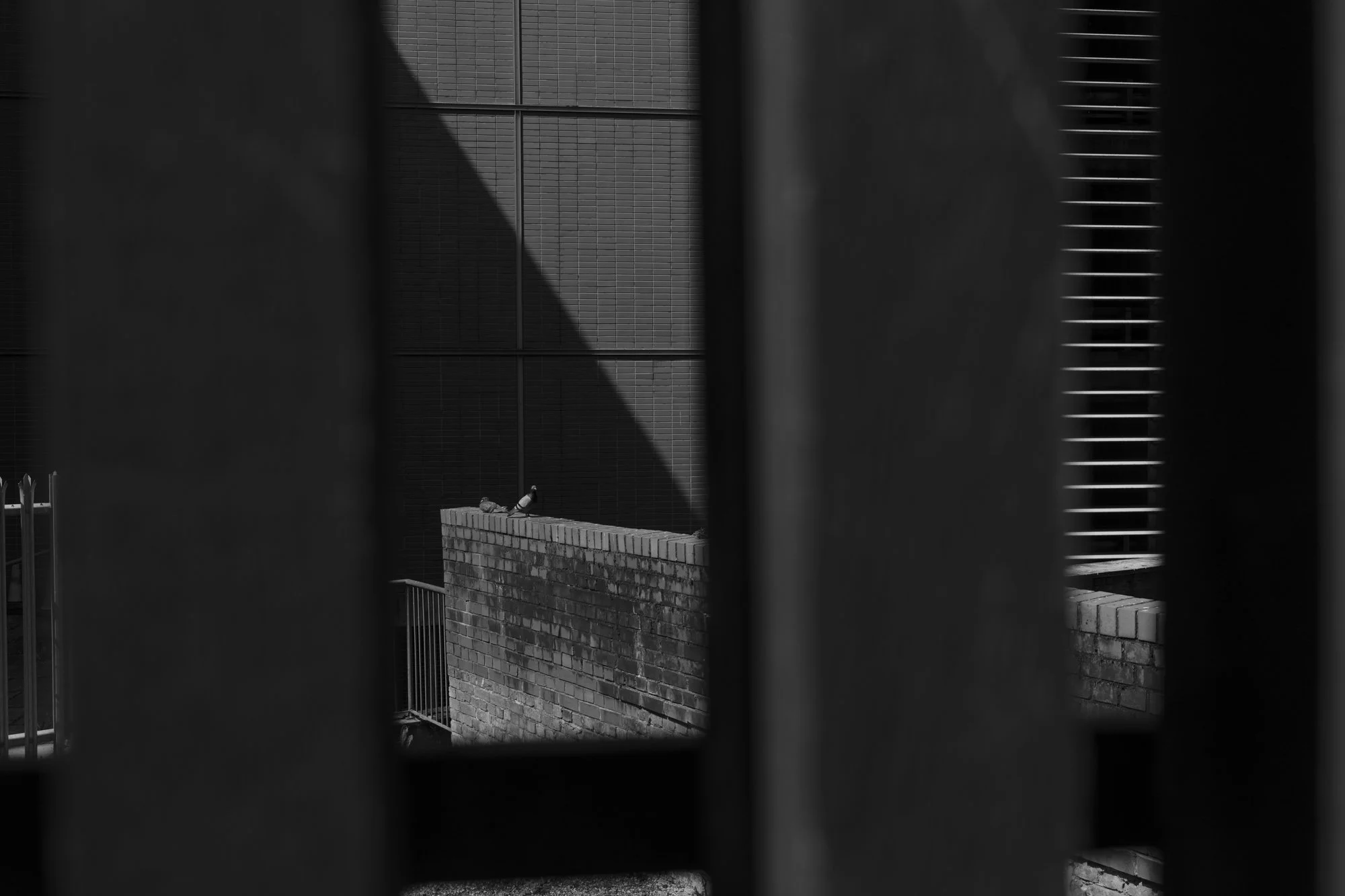 _D4A0346.jpg