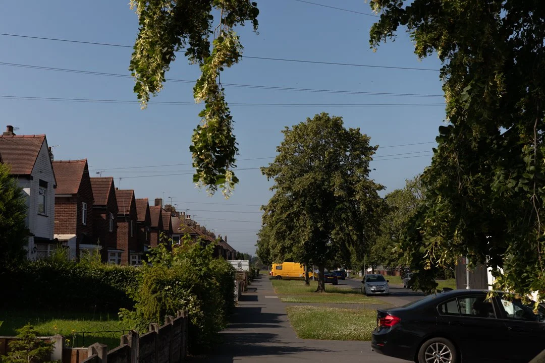 Sam's Big Walk Home