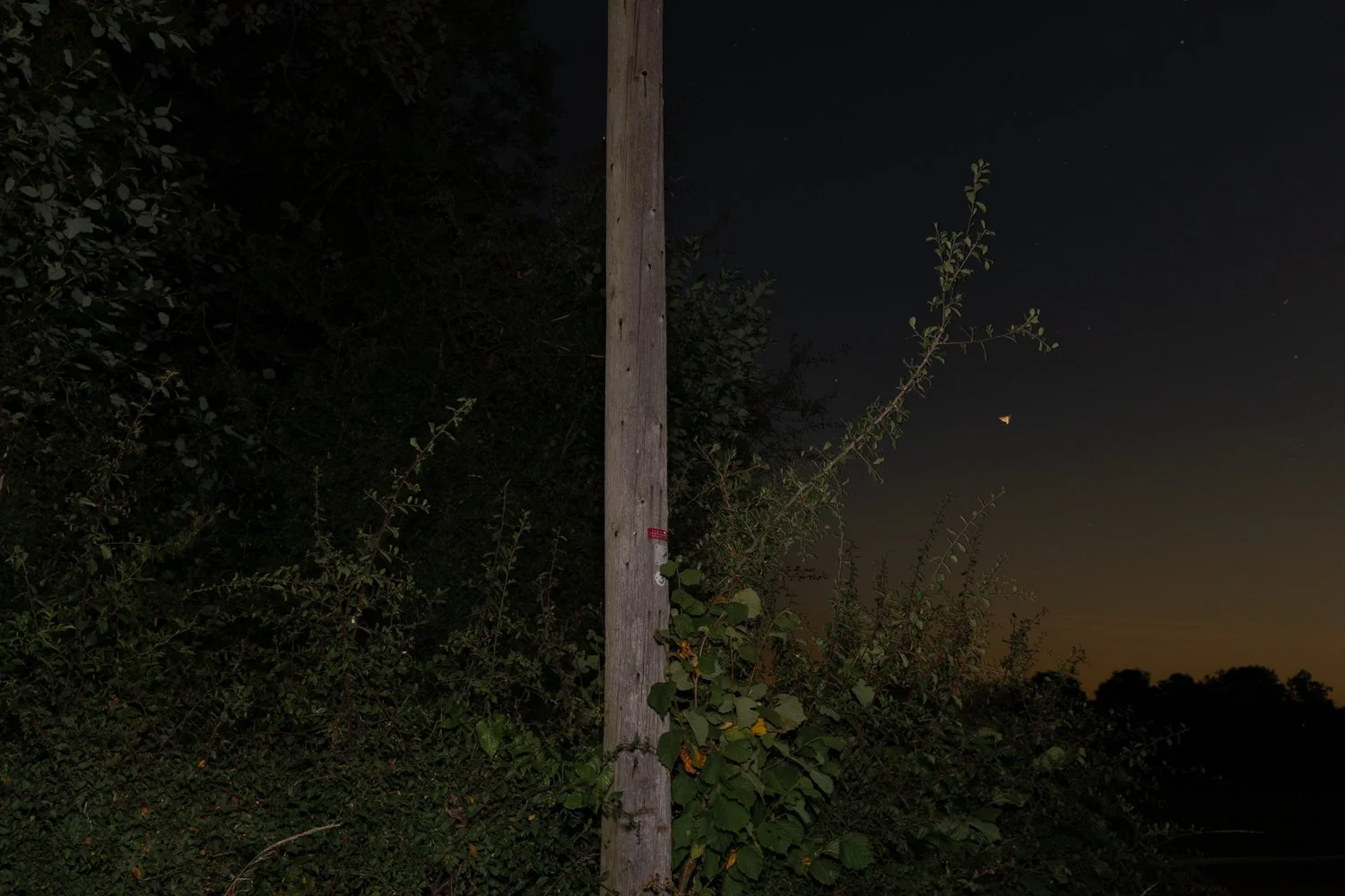 _D4A8606.jpg