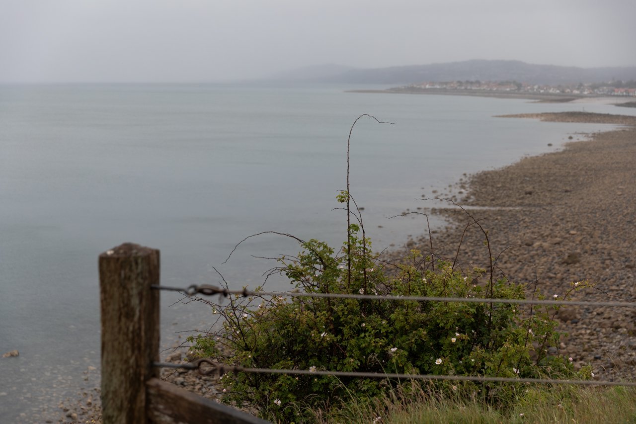 _D4A0744.jpg