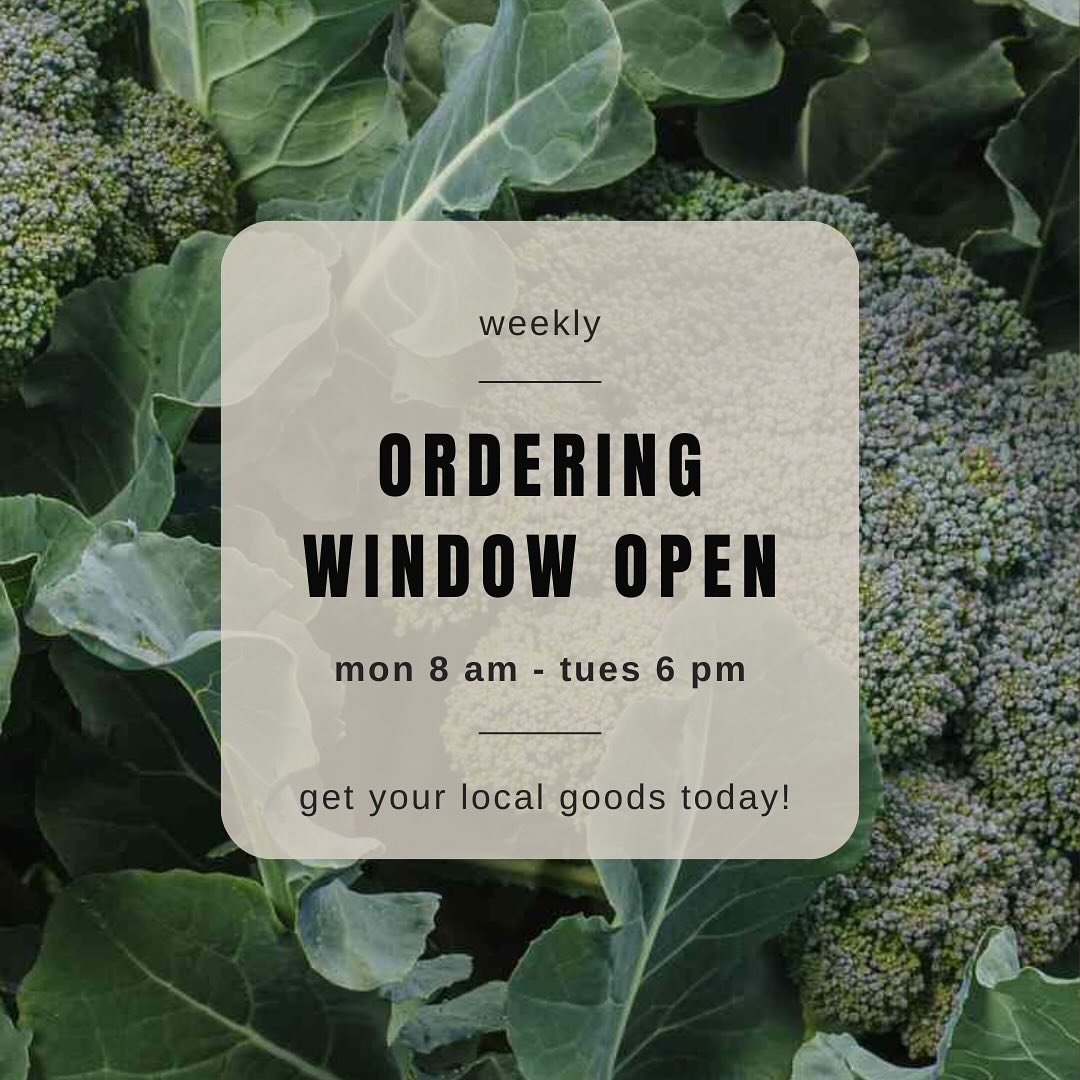 Get your greens! Cabbage, fennel, broccoli, salad greens and more now available!! www.dakotafreshllc.com Order Monday 8 am - Tuesday 6 pm.