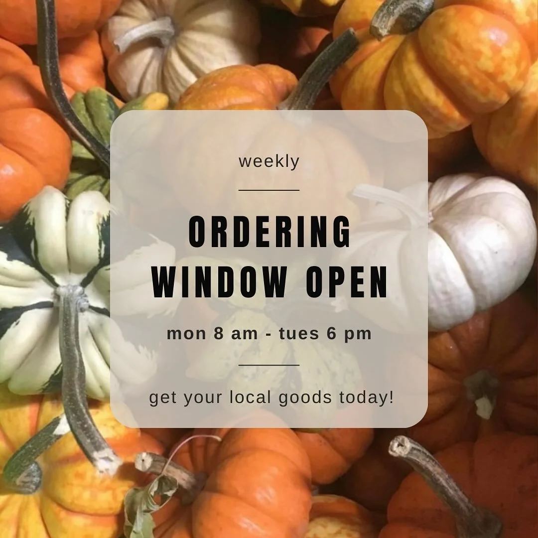 The pumpkin patch is open! Make sure to get your decorative and baking pumpkins on the marketplace this week! www.dakotafreshllc.com
#fall #pumpkin #harvest #sd #siouxfalls #local