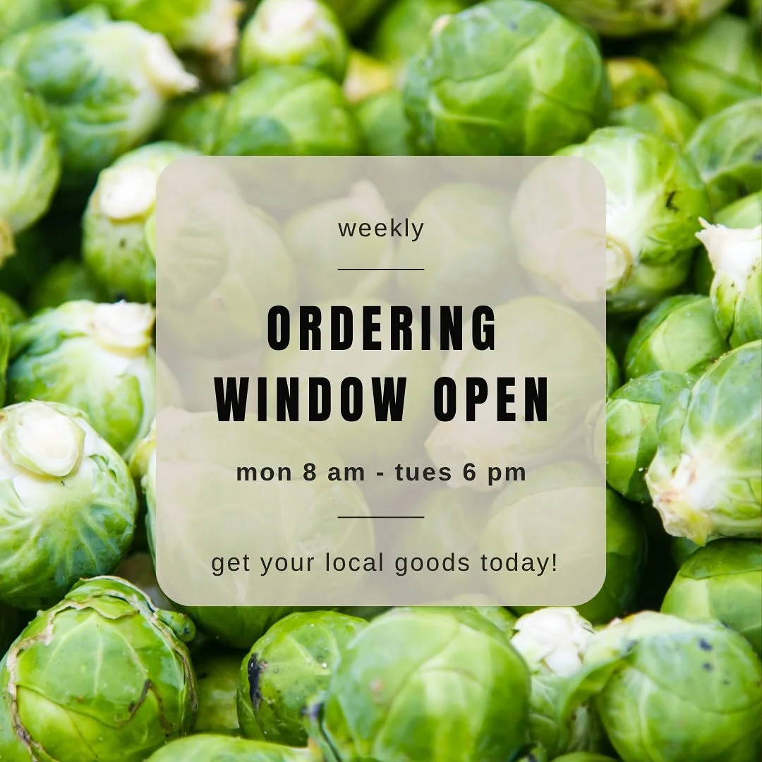 Mmmm - taste those crispy, savory #brussels! We have them for a limited time in the marketplace! Along with loads of other delicious hauls from the #autumn harvest…🍐🫛🍆🧅🥔🍎🍠