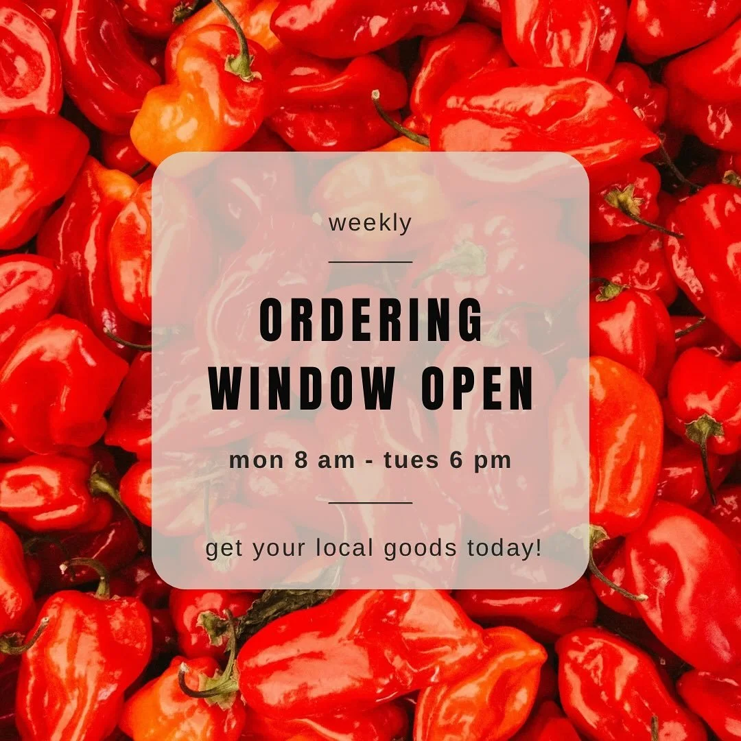 Wide variety of hot peppers in the marketplace! Get ready for those salsas to carry you through the cold Midwest winter. Order at www.dakotafreshllc.com - and check out the huge selection of #local, #nutrientdensefood we have on a weekly basis!