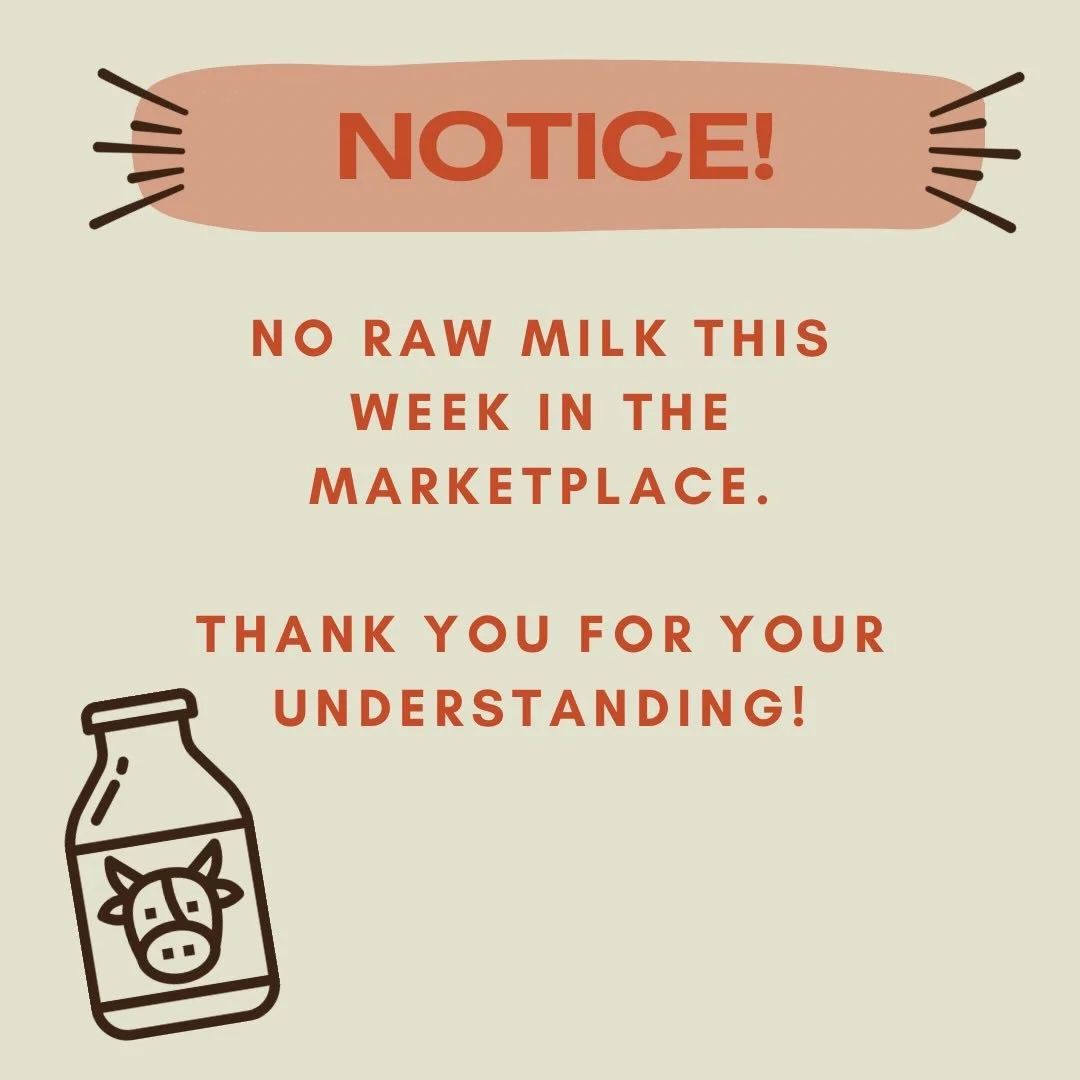 Notice - no raw milk in the market this week! We will resume ordering after Thanksgiving. Thank you for your understanding!