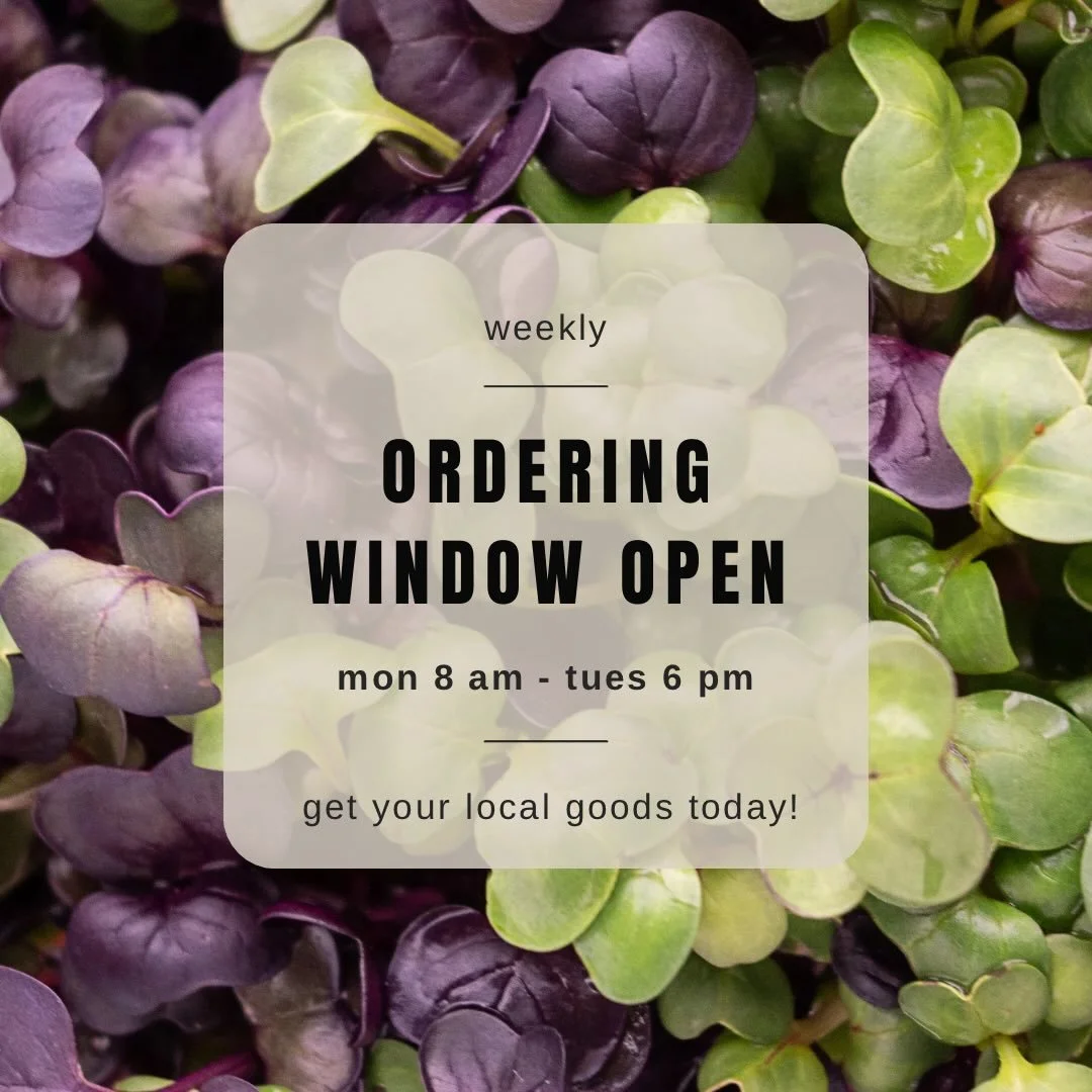 Get a fresh start to the year and fill your cart with salad greens and microgreens this week! 🥬🌱Order window open Monday 8 am - Tuesday 6 pm; pick up and delivery adjusted to Friday this week due to the holiday. www.dakotafreshllc.com