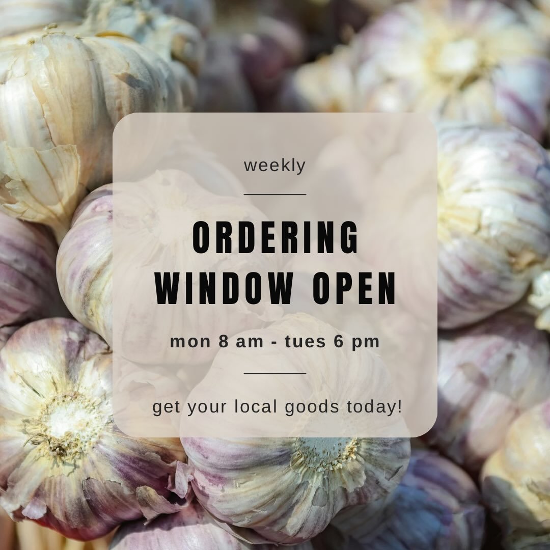 Boost your immune system this winter with a tried and true cold-fighting staple - garlic! We have some hearty, delicious varieties available in the marketplace. Order today! www.dakotafreshllc.com