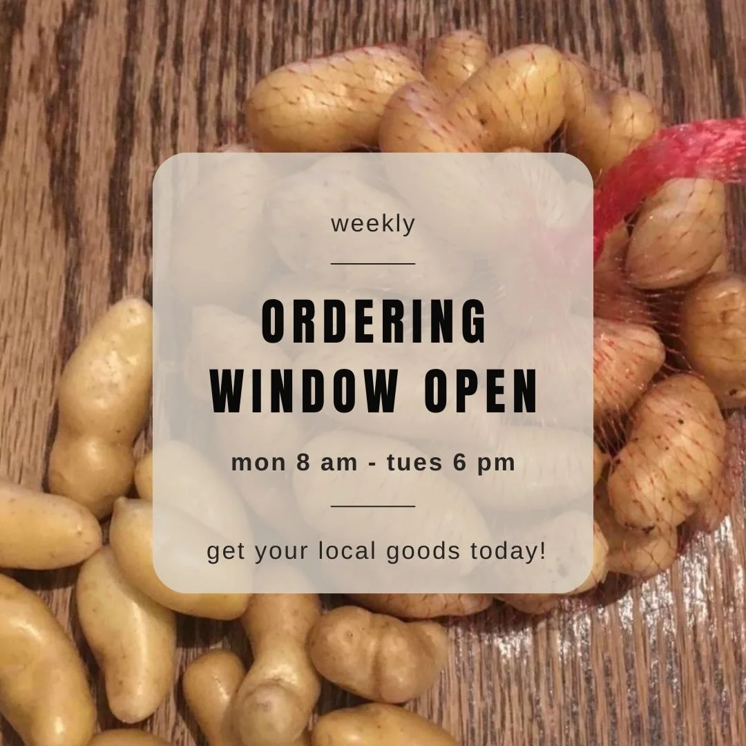 Elevate your Monday morning haul. 

The Dakota Fresh marketplace is officially OPEN!
This week, we&rsquo;re highlighting small-batch items that prove local means gourmet. Stock your bag with these regional favorites:
Prairies Past: Baby La Ratte Fren