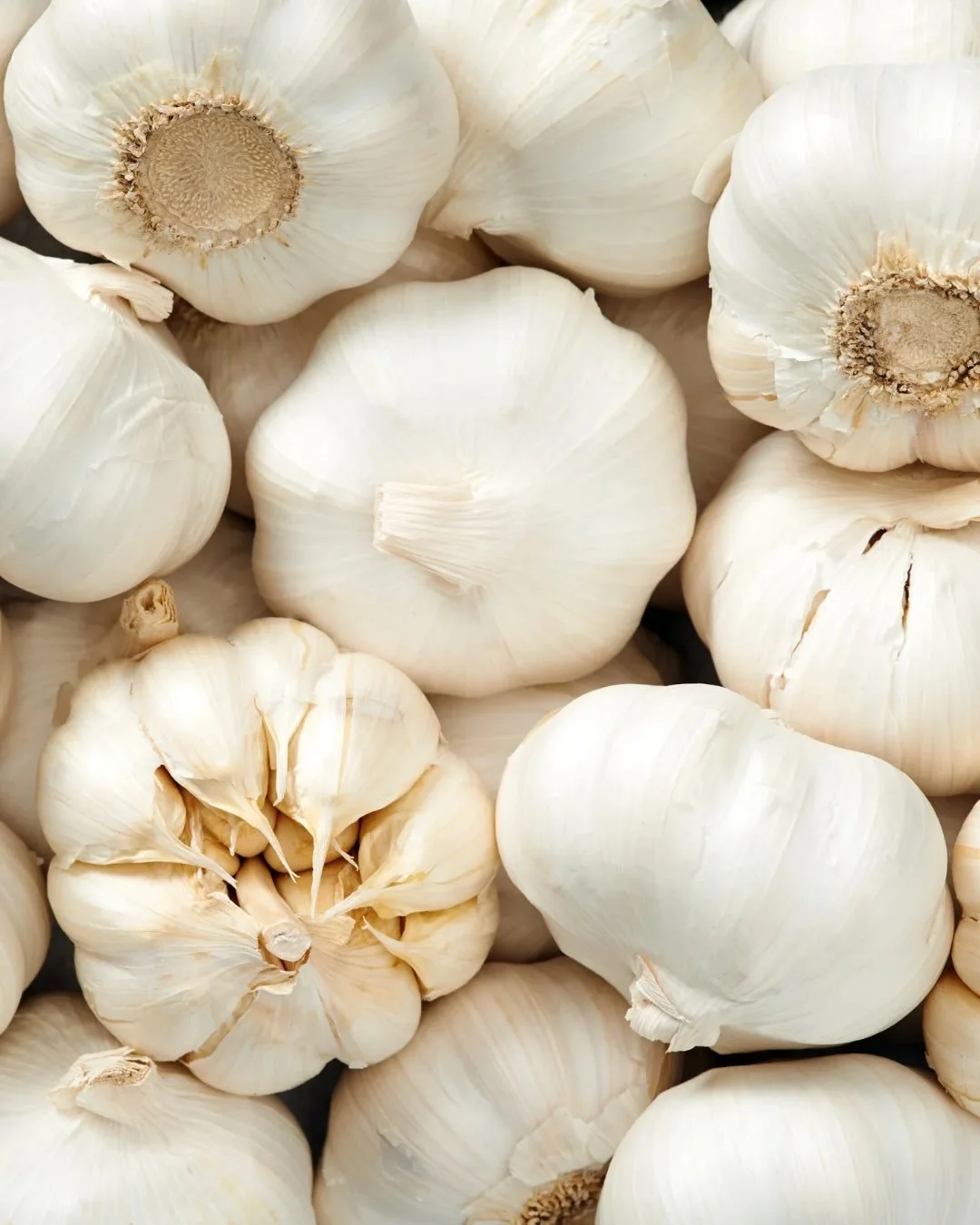 Stop settling for warehouse garlic. 

The Dakota Fresh marketplace is officially OPEN!
This week we&rsquo;re stocking your kitchen with the staple trio that changes everything:

Spink Colony Garlic: Real flavor, grown locally. Once you smell this hit